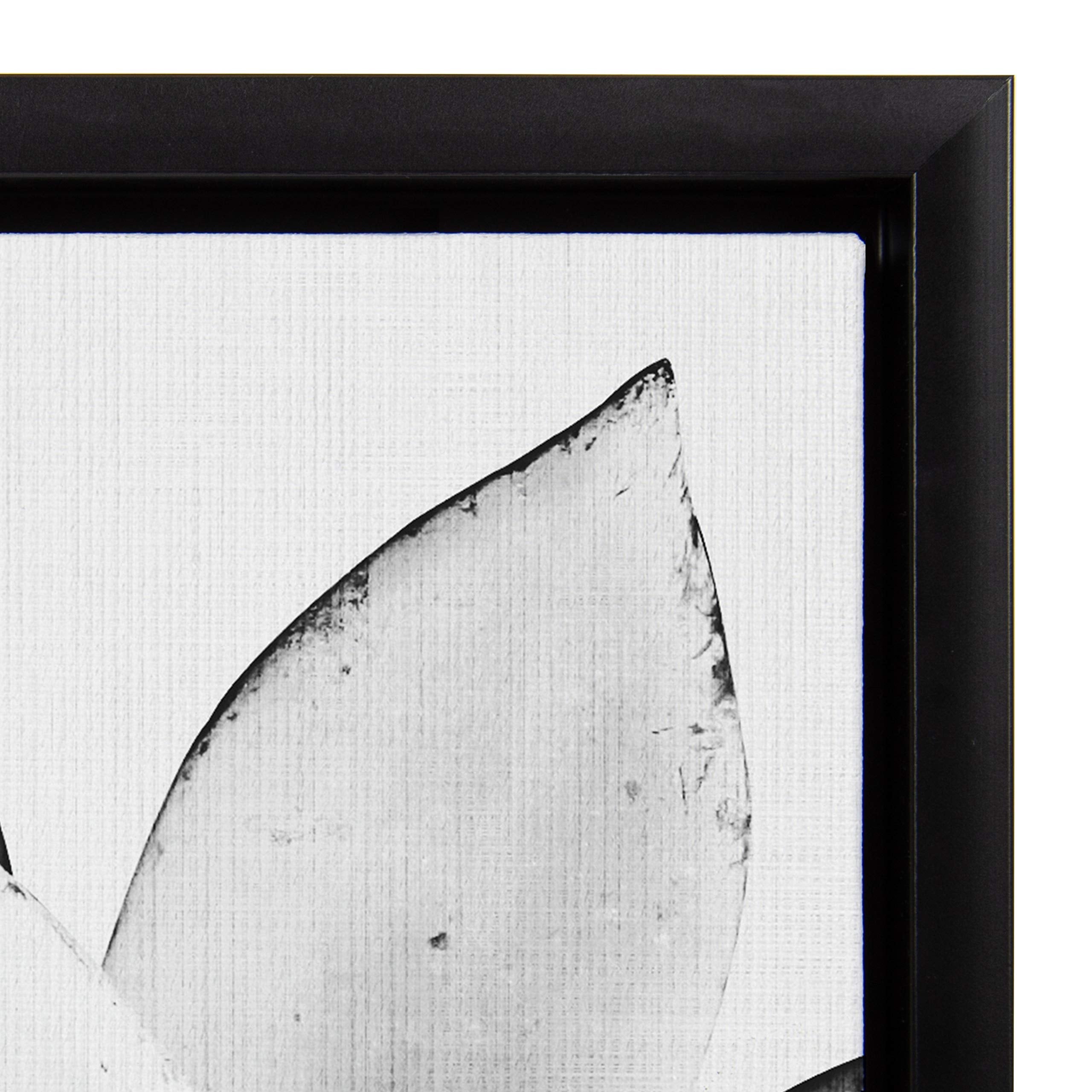 Kate And Laurel Sylvie Black And White Modern Succulent Print Framed Canvas Wall Art By Simon Te Tai, 30X30 Black