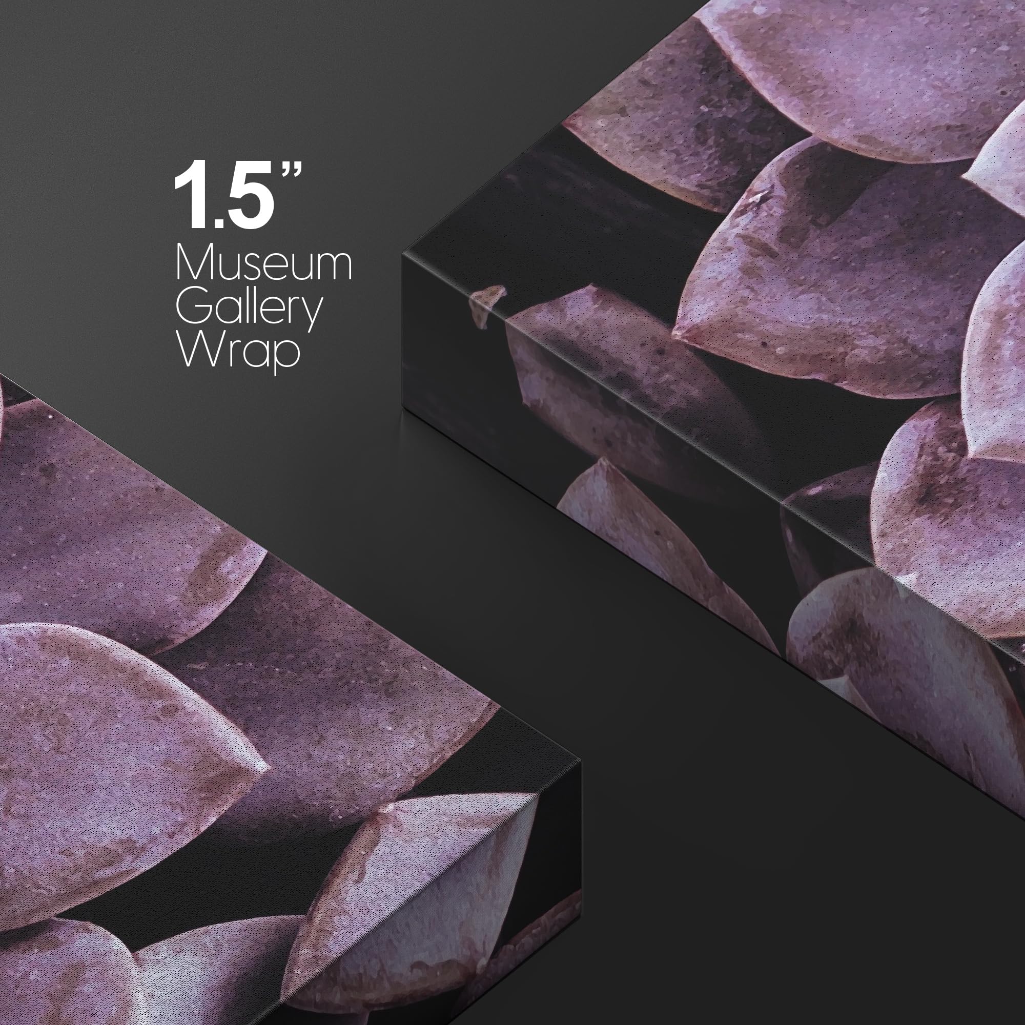 Wall26 Canvas Print Wall Art Closeup Of Blooming Purple Desert Succulent Floral Plants Photography Realism Rustic Scenic Colorfu