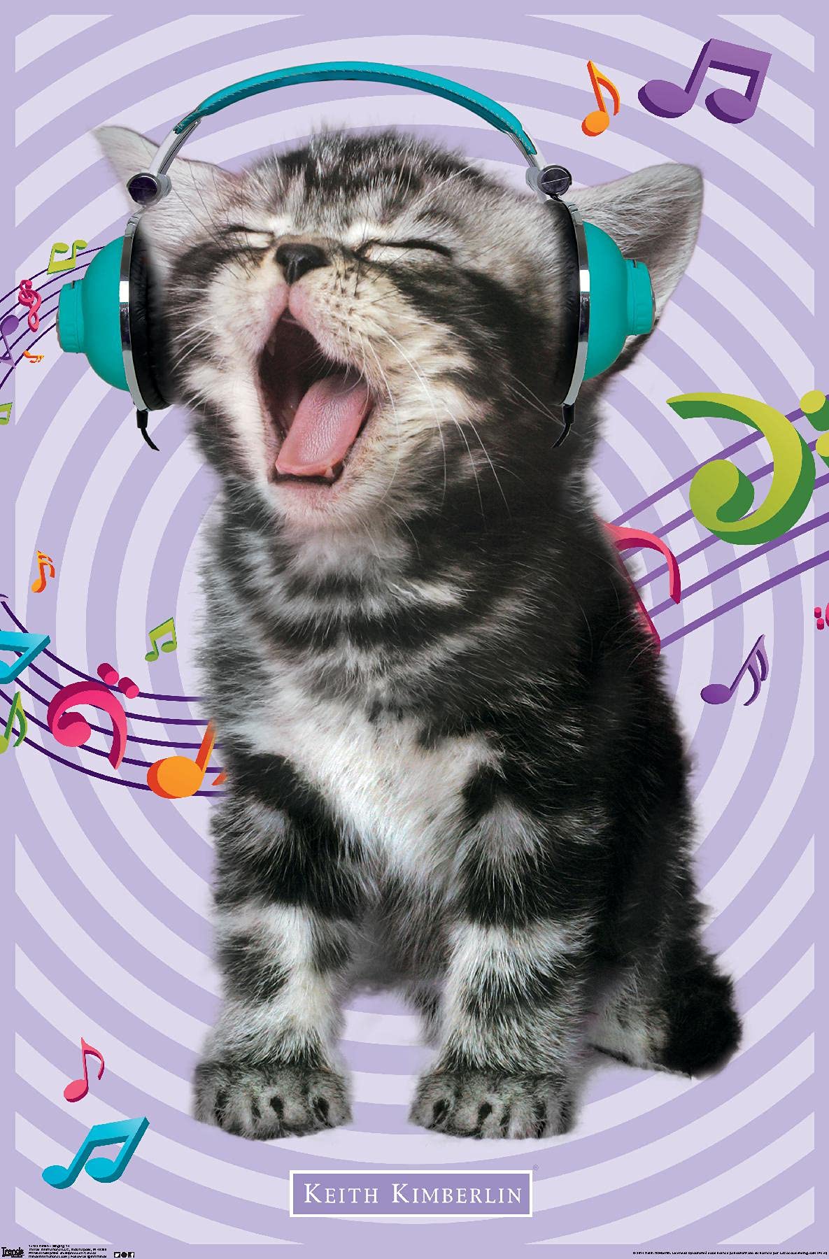 Trends International Keith Kimberlin - Kitten - Singing Wall Poster, 22.375'' X 34'', Premium Unframed Version
