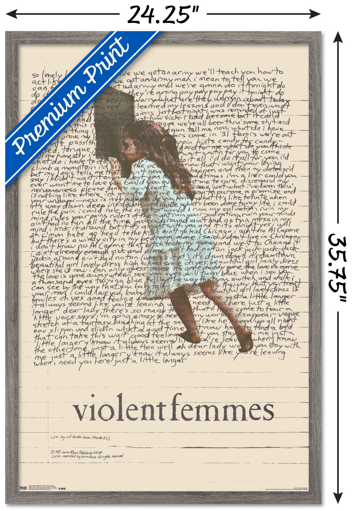Trends International Violent Femmes - Lyric Girl Tea Towel Wall Poster, 22.375'' X 34'', Barnwood Framed Version