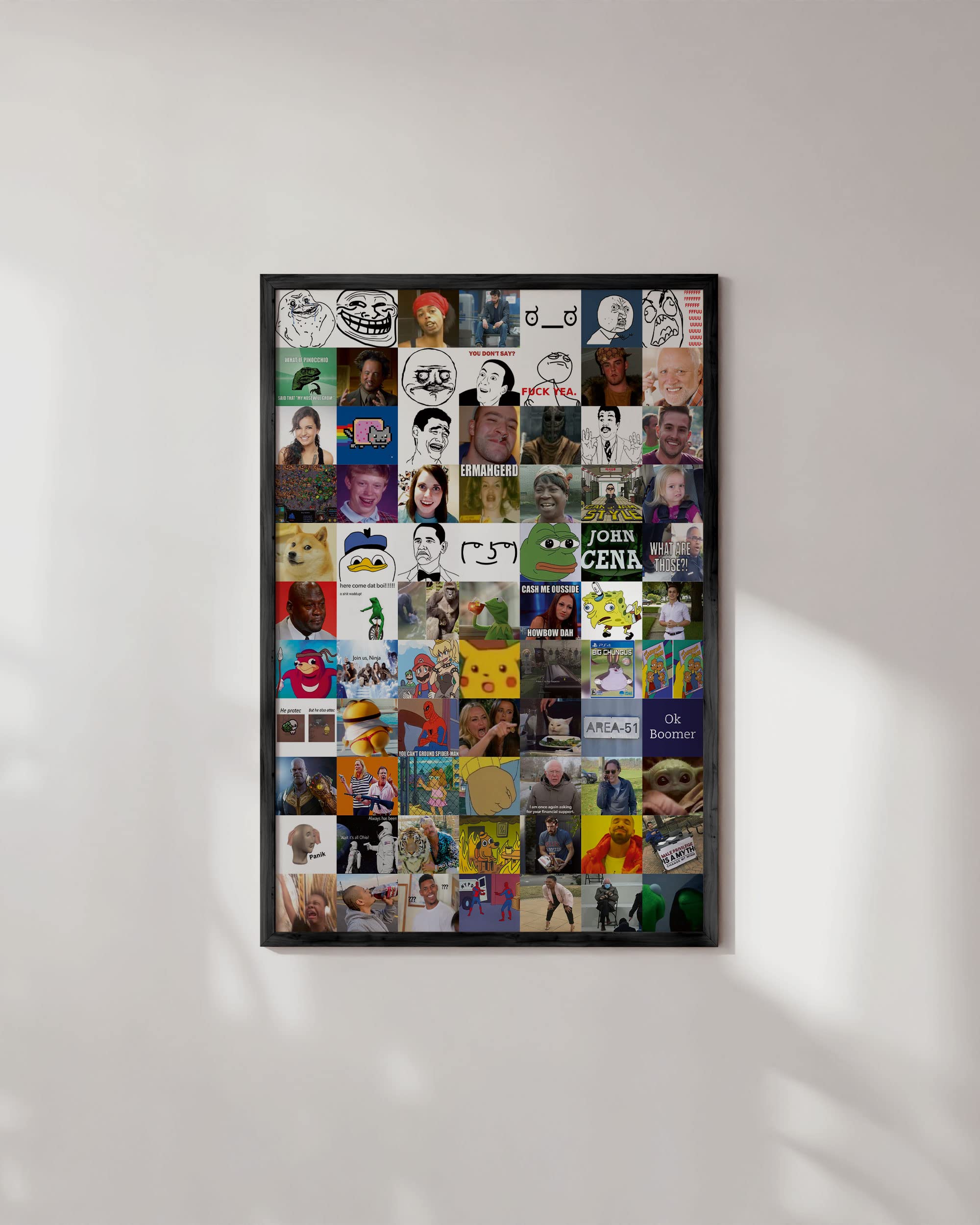 HAUS AND HUES Funny Meme Poster - Humor Wall Art for Dorm & Men's Room, Unframed 24x36, History of Memes Design