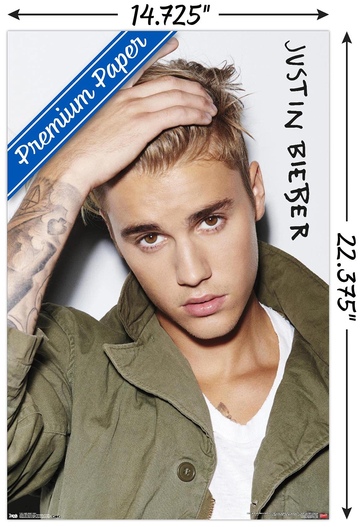 Trends International Justin Bieber - Eyes Wall Poster, 14.725'' X 22.375'', Premium Poster & Mount Bundle