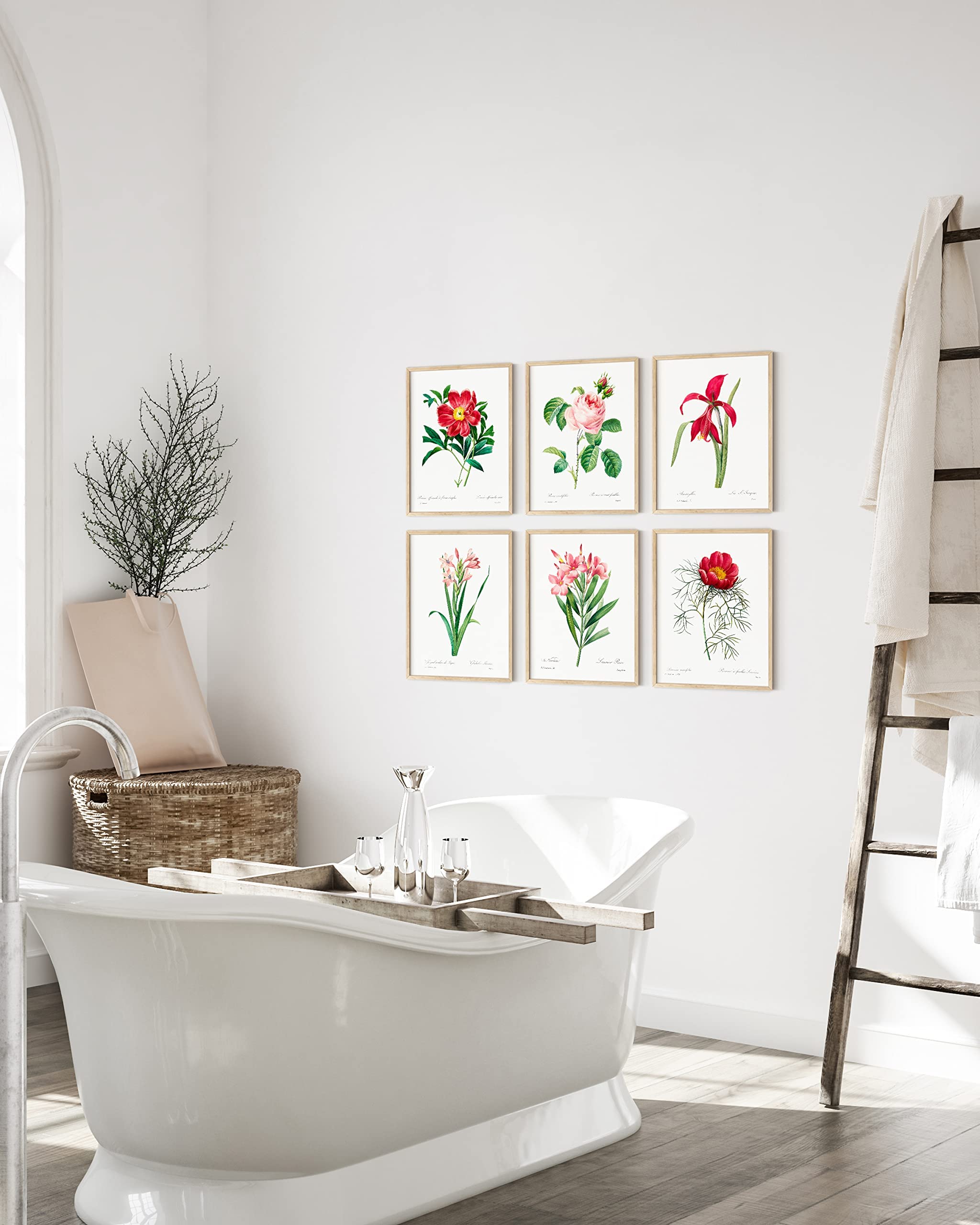 Haus And Hues Vintage Flower Posters And Prints - Set Of 6 Wildflower Wall Art Botanical Print Set | Plant Poster Vintage Floral