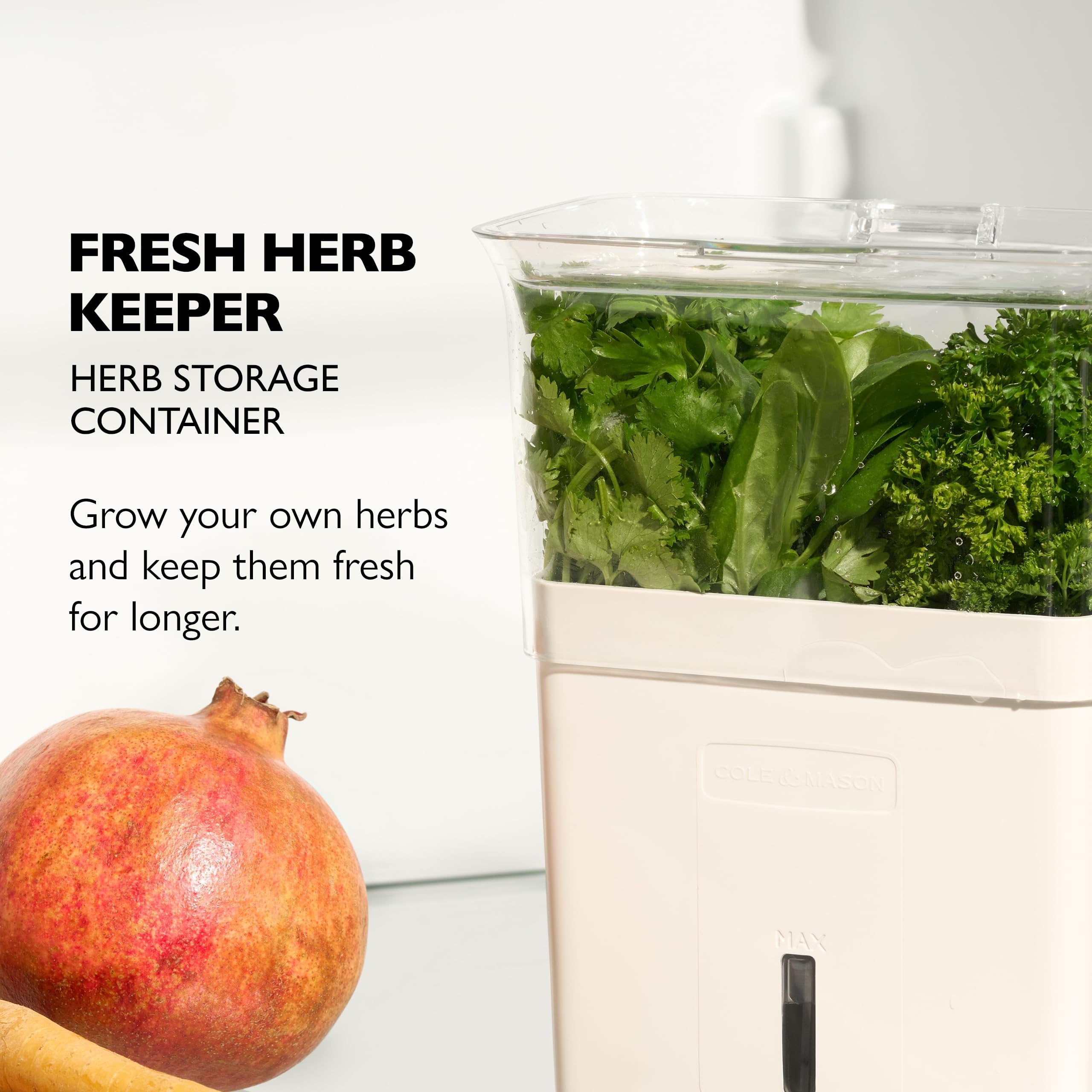 Cole & Mason Fresh Herb Keeper, Container, Clear