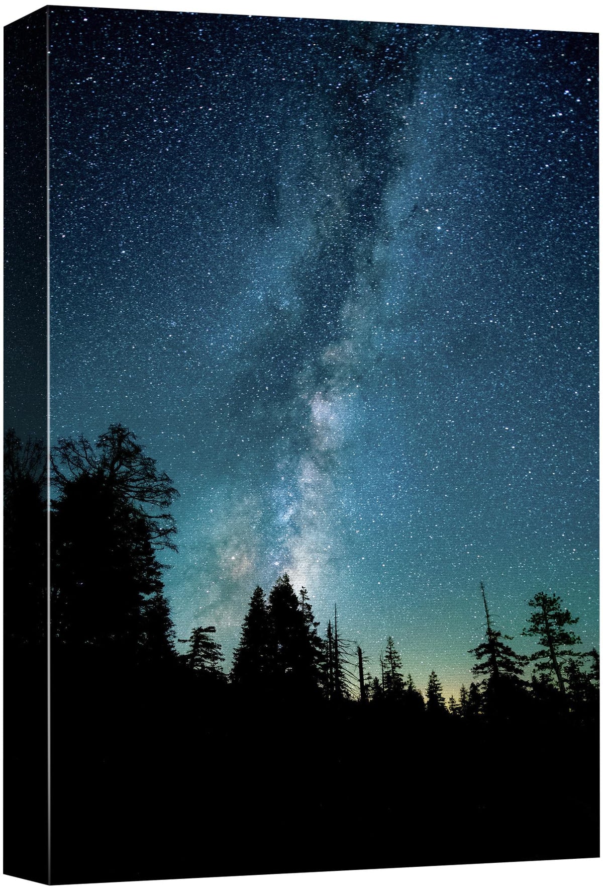 Signford Canvas Print Wall Art Navy Blue Teal Starlight Forest Silhouette Nature Wilderness Photography Realism Decorative Sceni