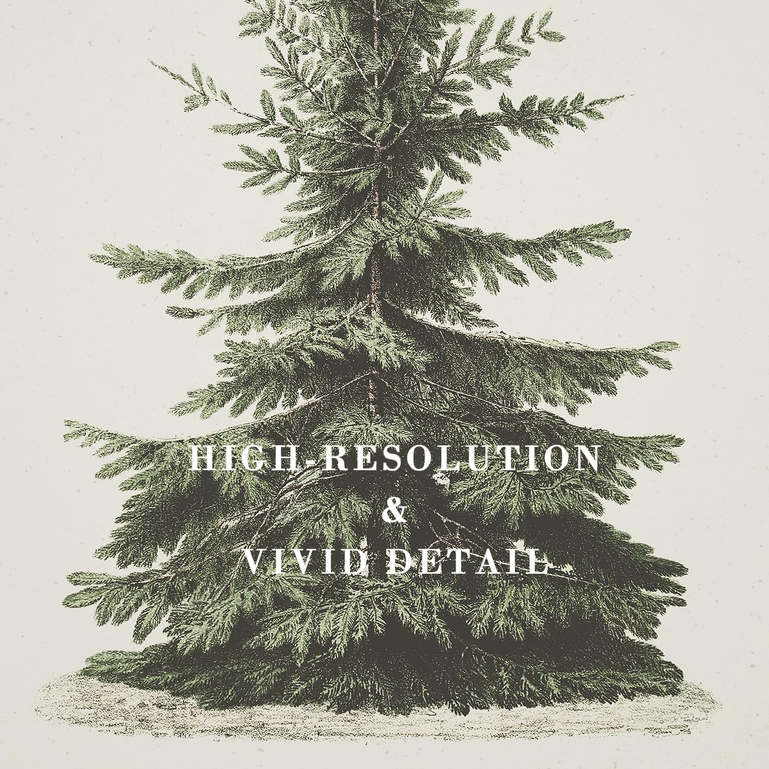 Kizbook Christmas Wall Art Print, Vintage Christmas Pine Tree Art Prints Painting, Rustic Fir Botanical Sketch Christmas Winter