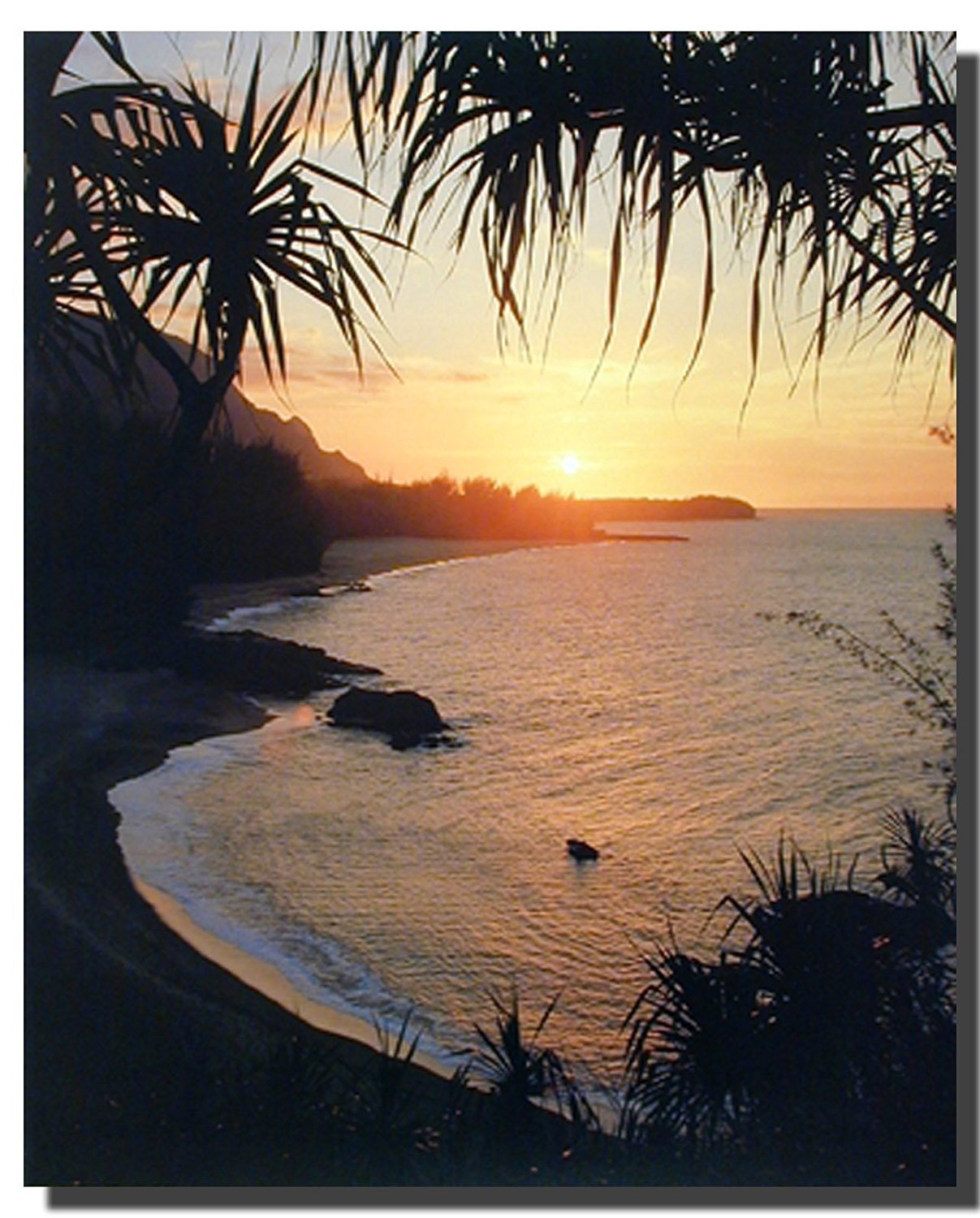 Tropical Sunset At Ocean Beach Scenery Wall Decor Art Print Poster (16X20)