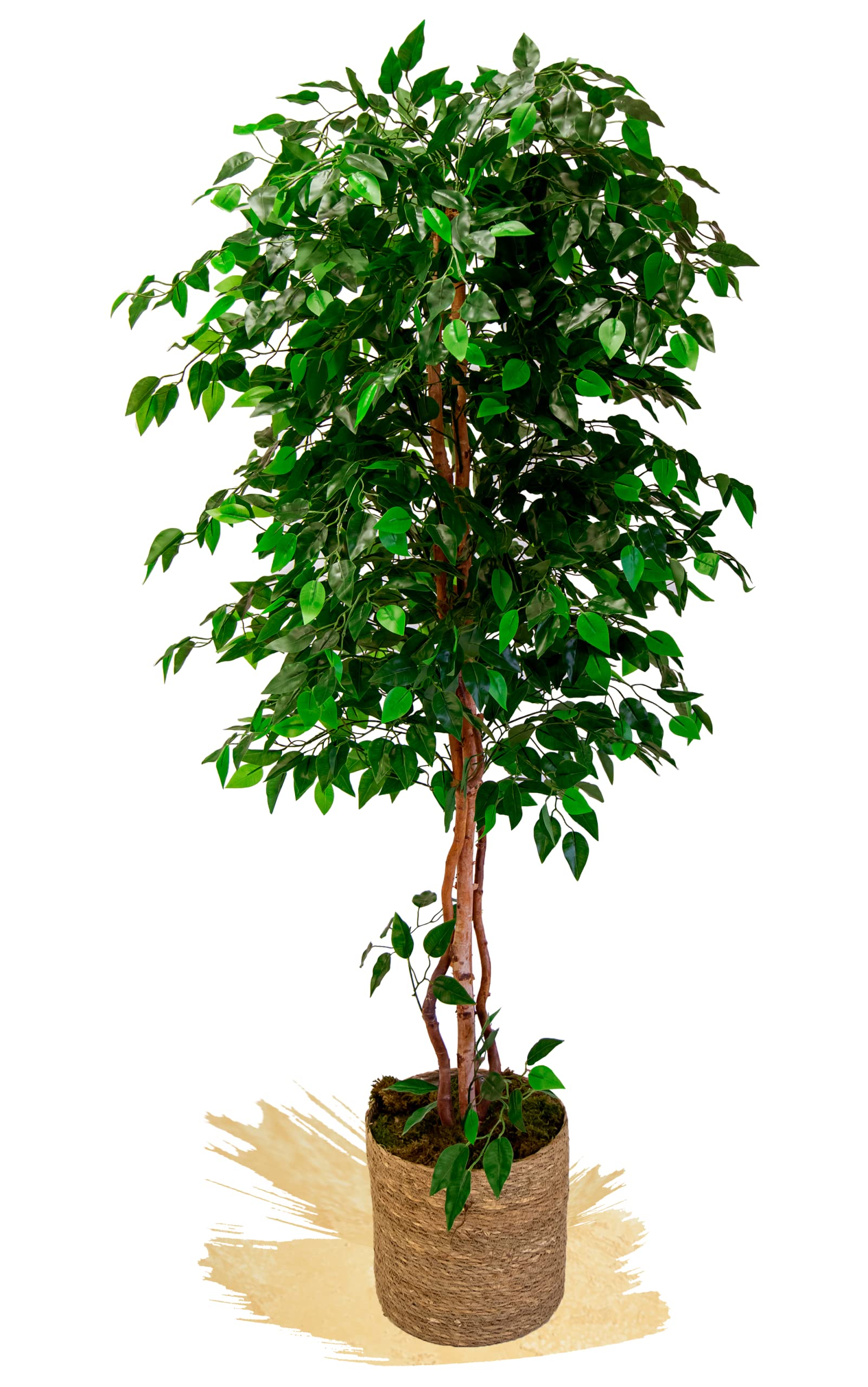 Maia Shop Ficus, Artificial Tree With Natural Trunks, Made With The Best Materials, Ideal For Home Decoration, Artificial Plant