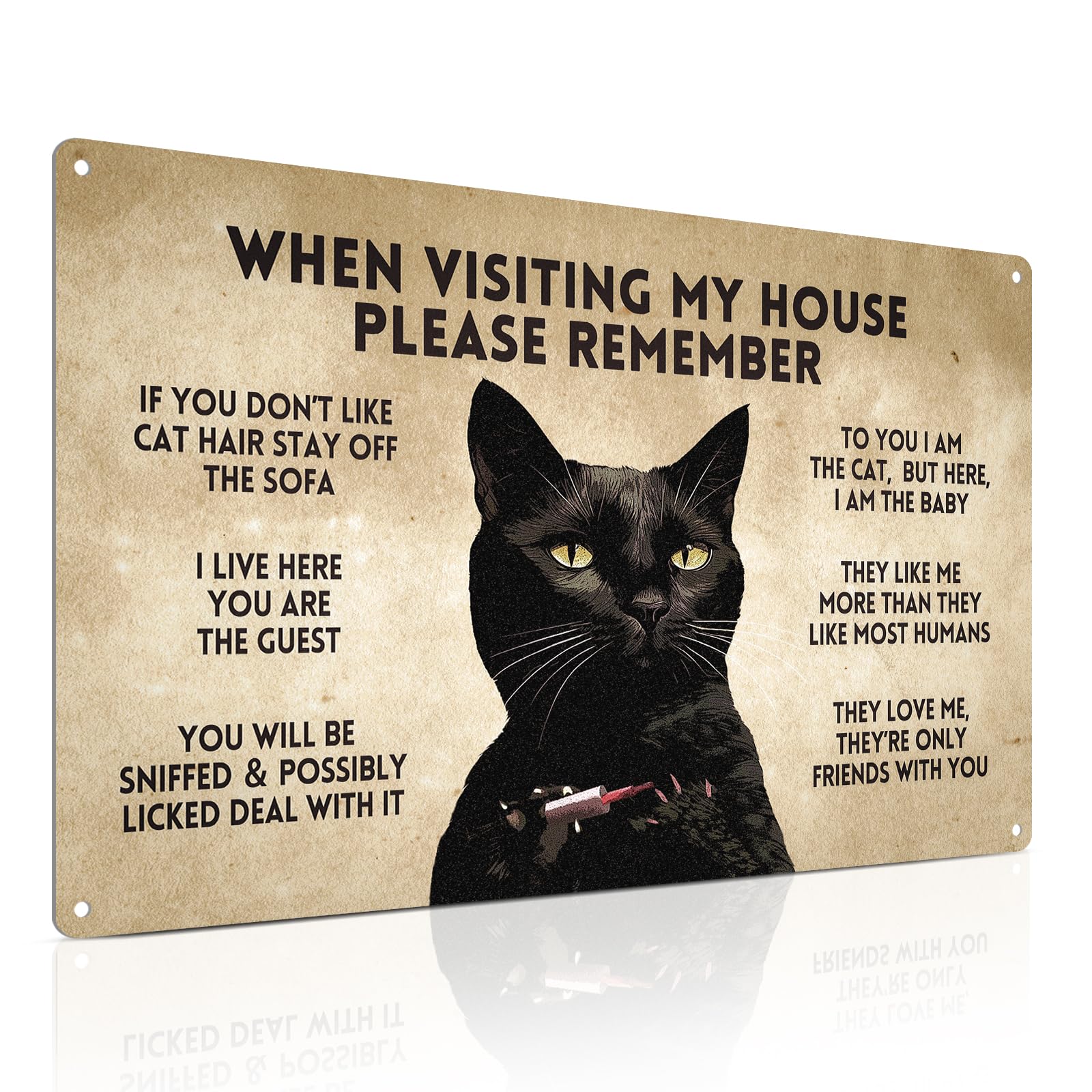 Alkb Funny Black Cat Poster Cat Lover Gift - When Visiting My House Please Remember - Black Cat Rules Metal Signs 8 X 12 Inch