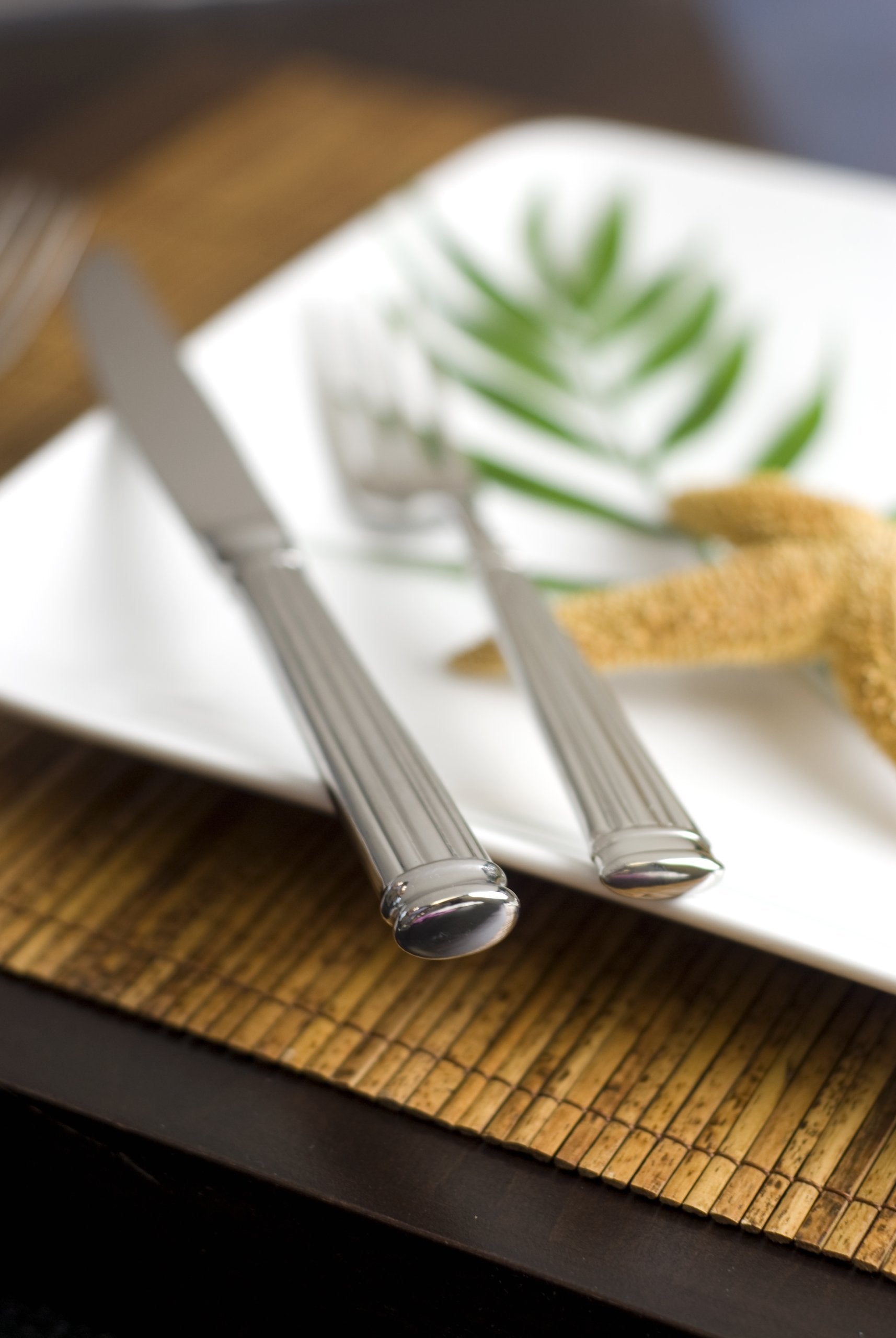 Fortessa Doria Stainless Steel 20 Piece Flatware Set