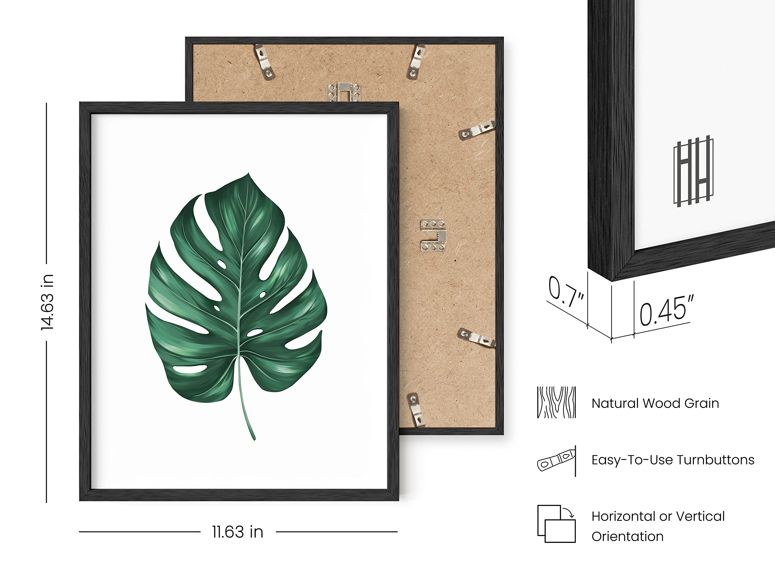 HAUS AND HUES Framed Botanical Wall Art - Plant Wall Decor  Tropical Wall Art  Leaf Wall Art  Green Leaves Pictures  Plant Pictures Wall Art  Leaves Print  Sage Green Wall Art  (11x14  Black Framed)