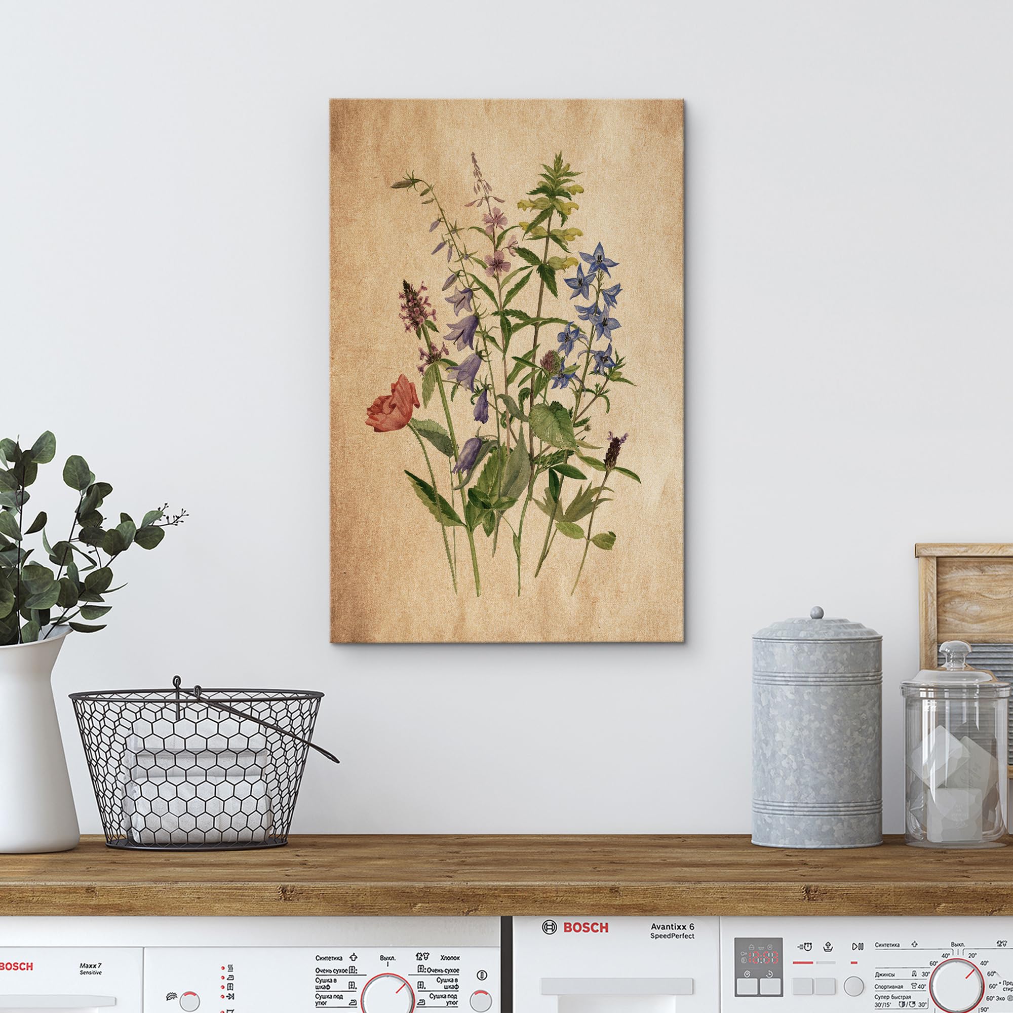 Wall26 Canvas Print Wall Art Retro Antique Wildflower Still Life Nature Wilderness Illustrations Modern Art Botanical Floral Far