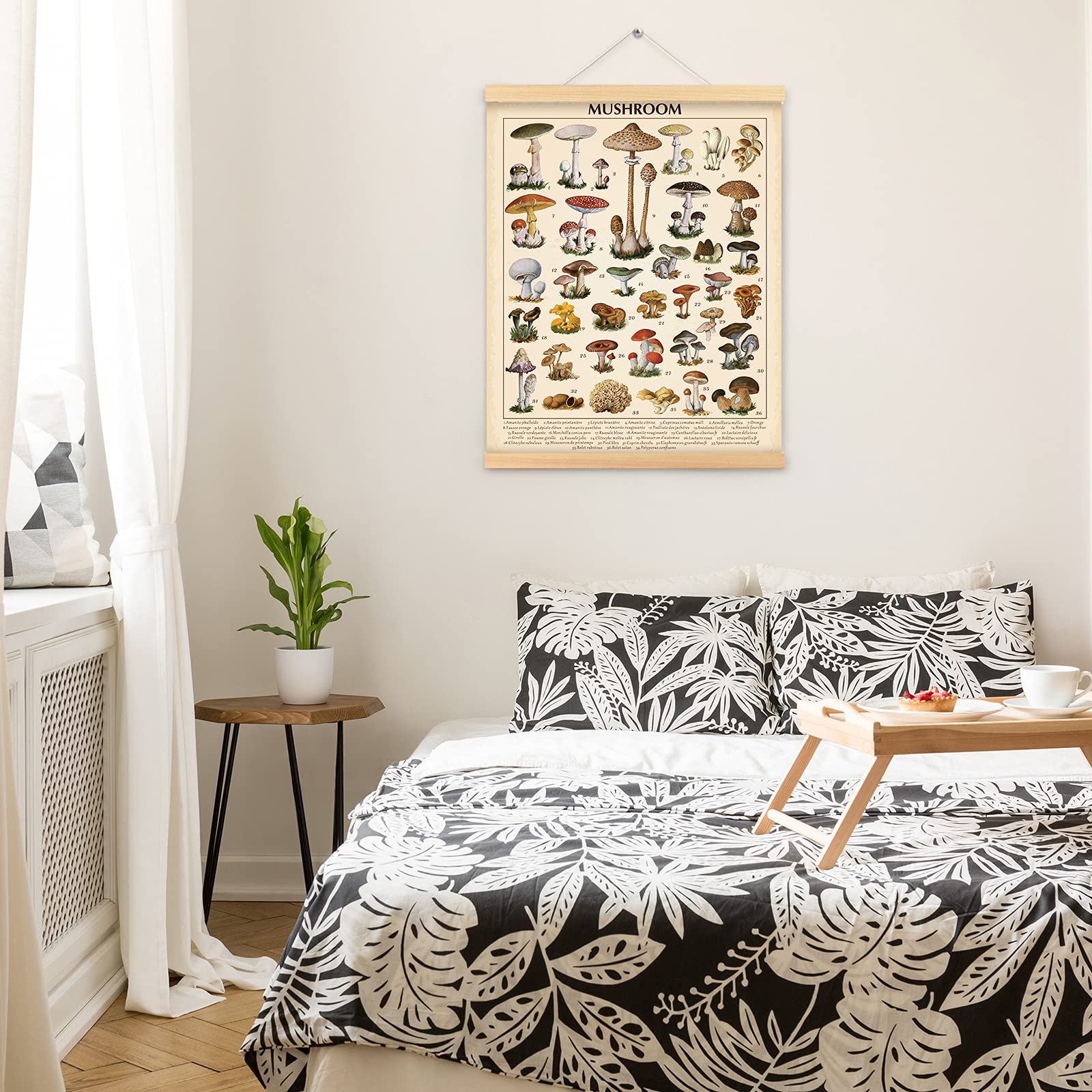 Outus Vintage Mushroom Poster Fungus Wall Art Prints Rustic Mushroom Wall Hanging Illustrative Reference Chart Poster for Living Room Office Classroom Bedroom Dining Room Decor Frame  15.7 x 19.7 Inches