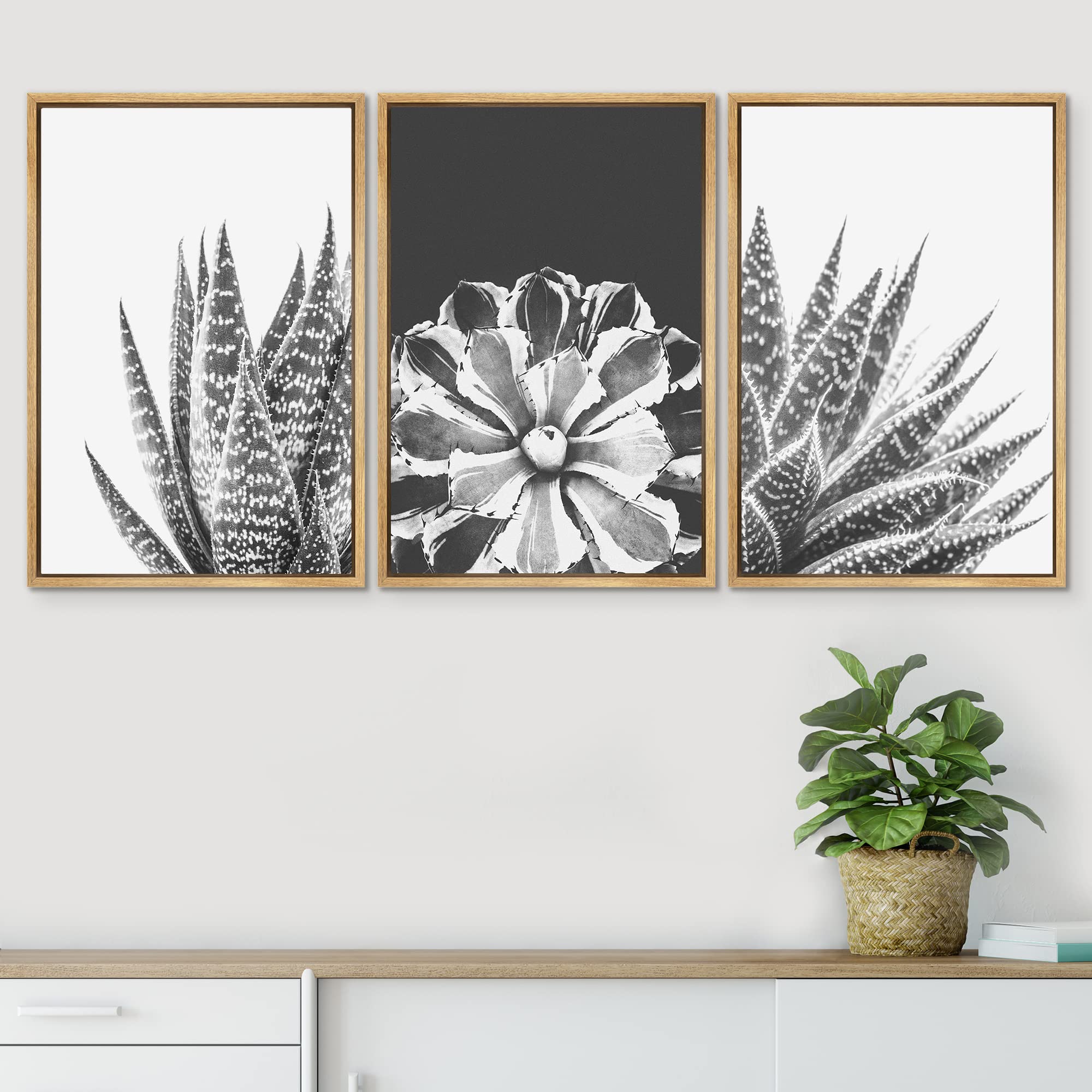 Signwin Framed Wall Art Print Set Sempervivum & Haworthia Succulent Set Nature Plants Photography Modern Art Closeup Relax/Calm