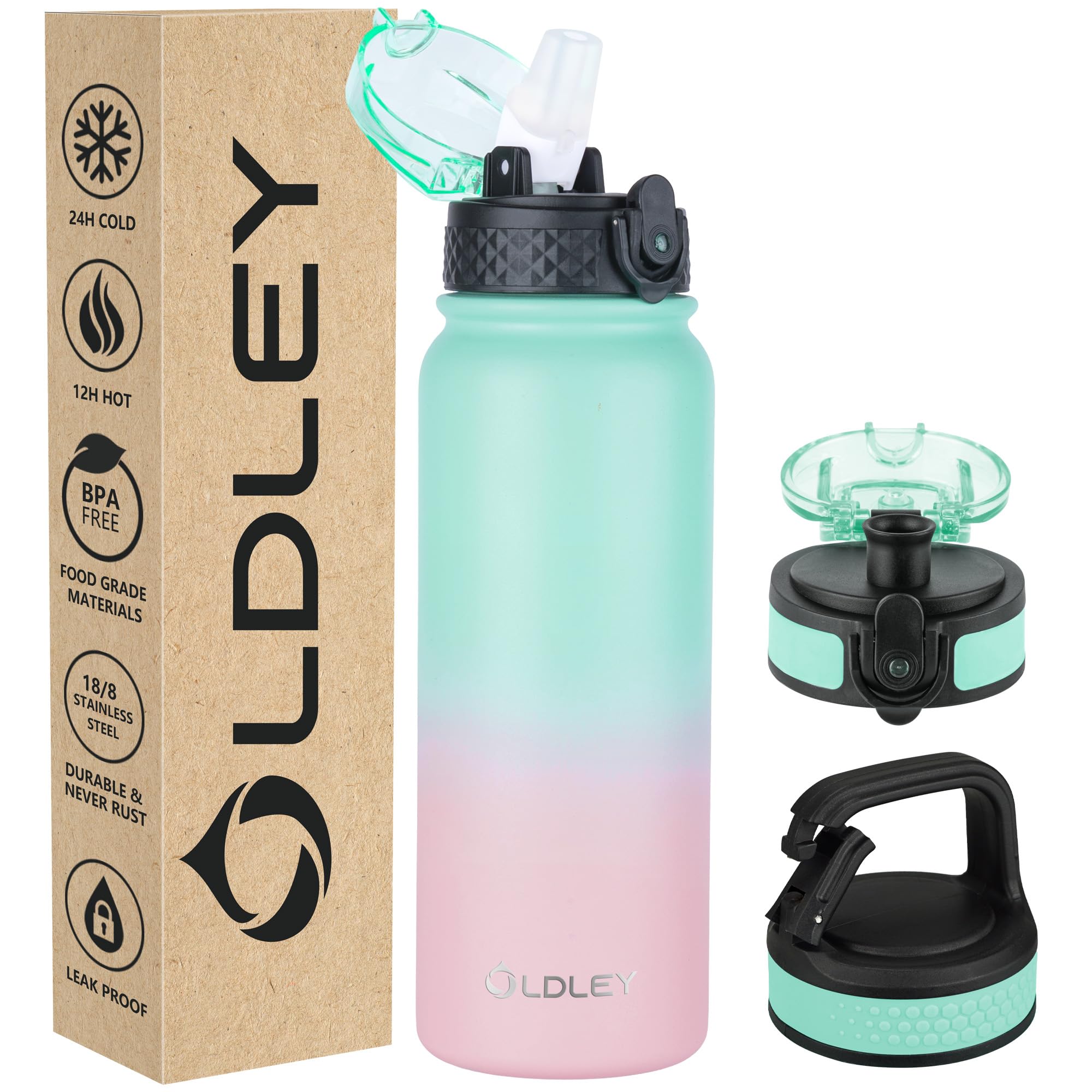 Insulated Water Bottle 20oz for Adults Kids Stainless Steel Water Bottles with Straw/Chug/Carabiner 3 Lids Fruit Strainer Double