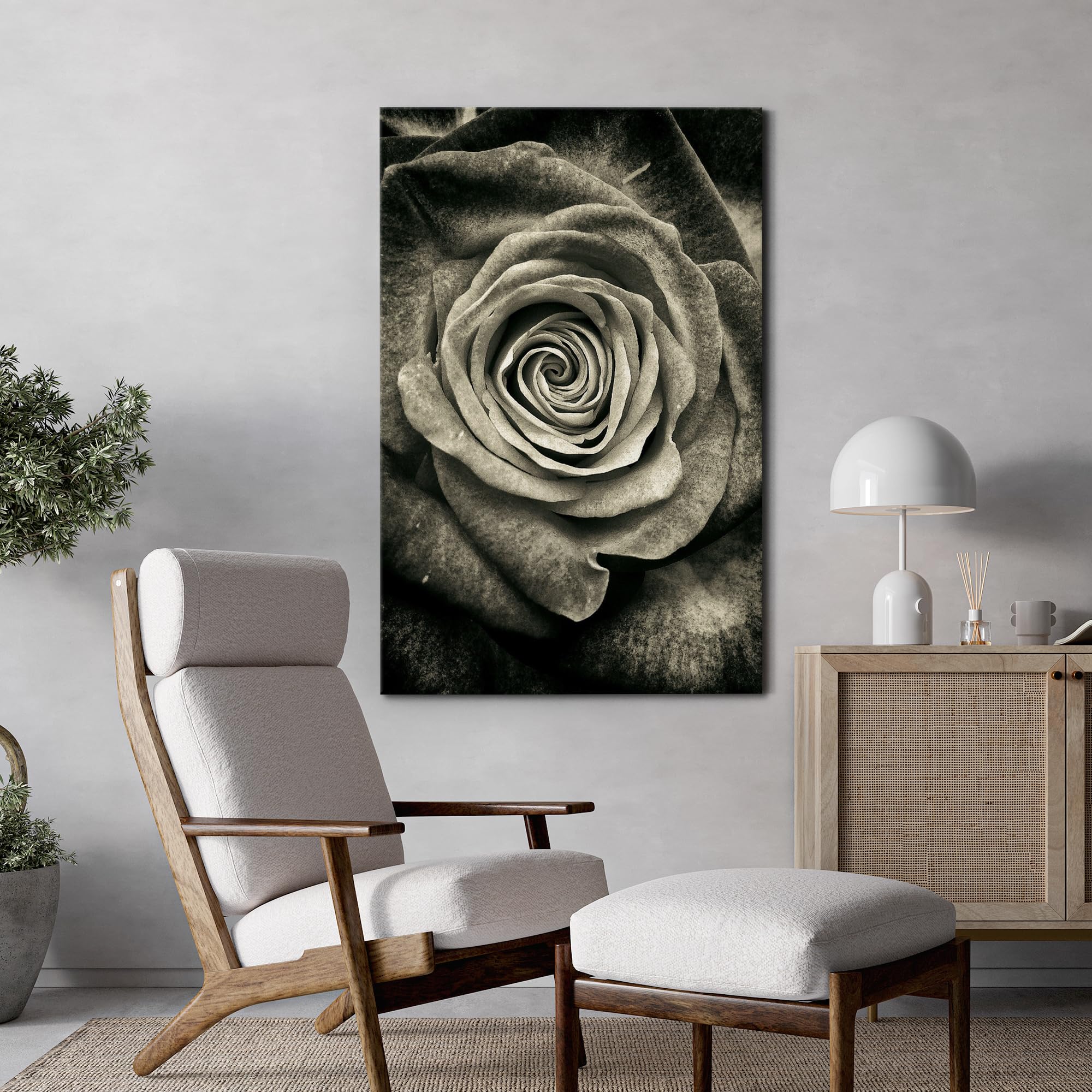 Wall26 Canvas Print Wall Art Elegant Monochrome Rose Timeless Floral Nature Wilderness Photography Modern Art Decorative Country