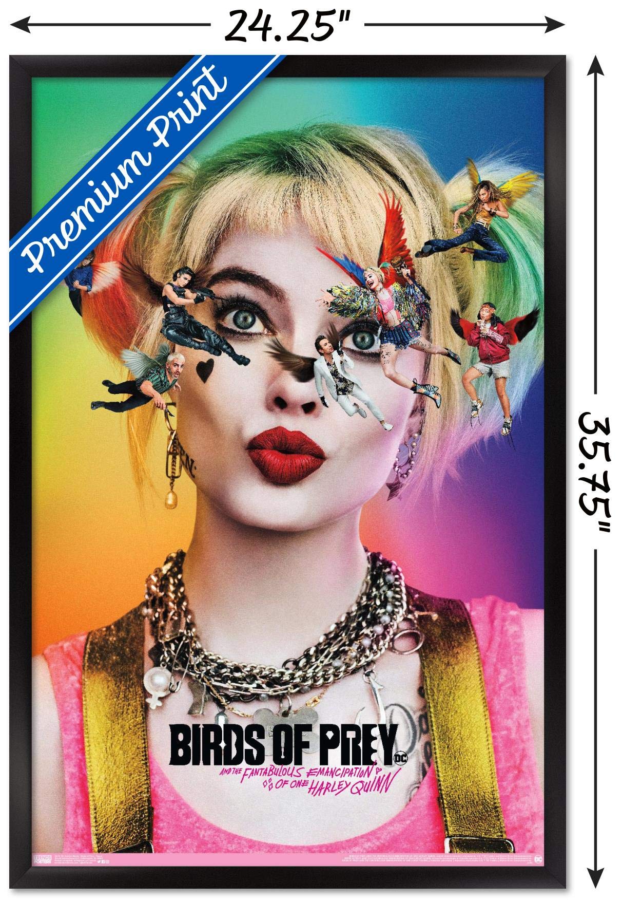 Trends International Dc Comics Movie - Birds Of Prey - Teaser Wall Poster, 22.375'' X 34'', Black Framed Version