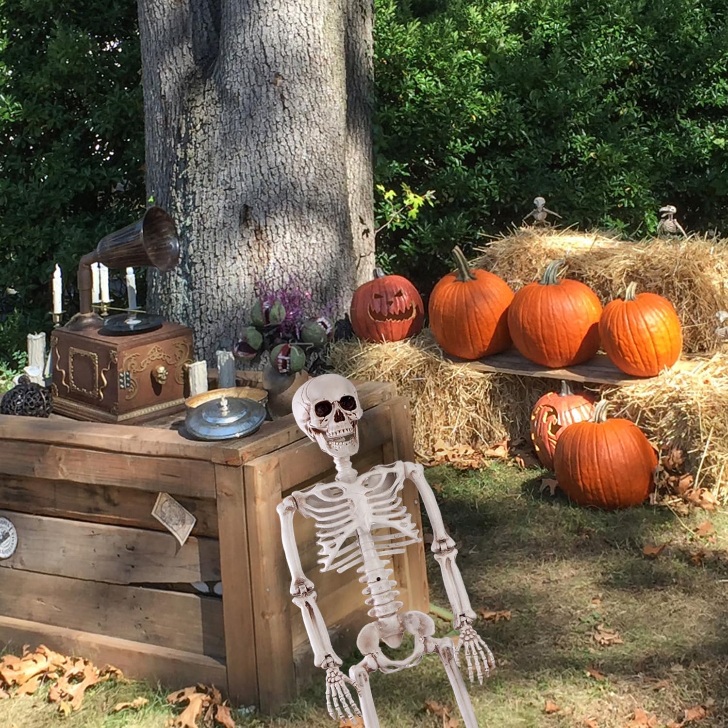 Jialwen 36'' Halloween Posable Skeleton Decorations, 3Ft Realistic Plastic Human Full Body Bones With Movable Joints Skeleton Fo
