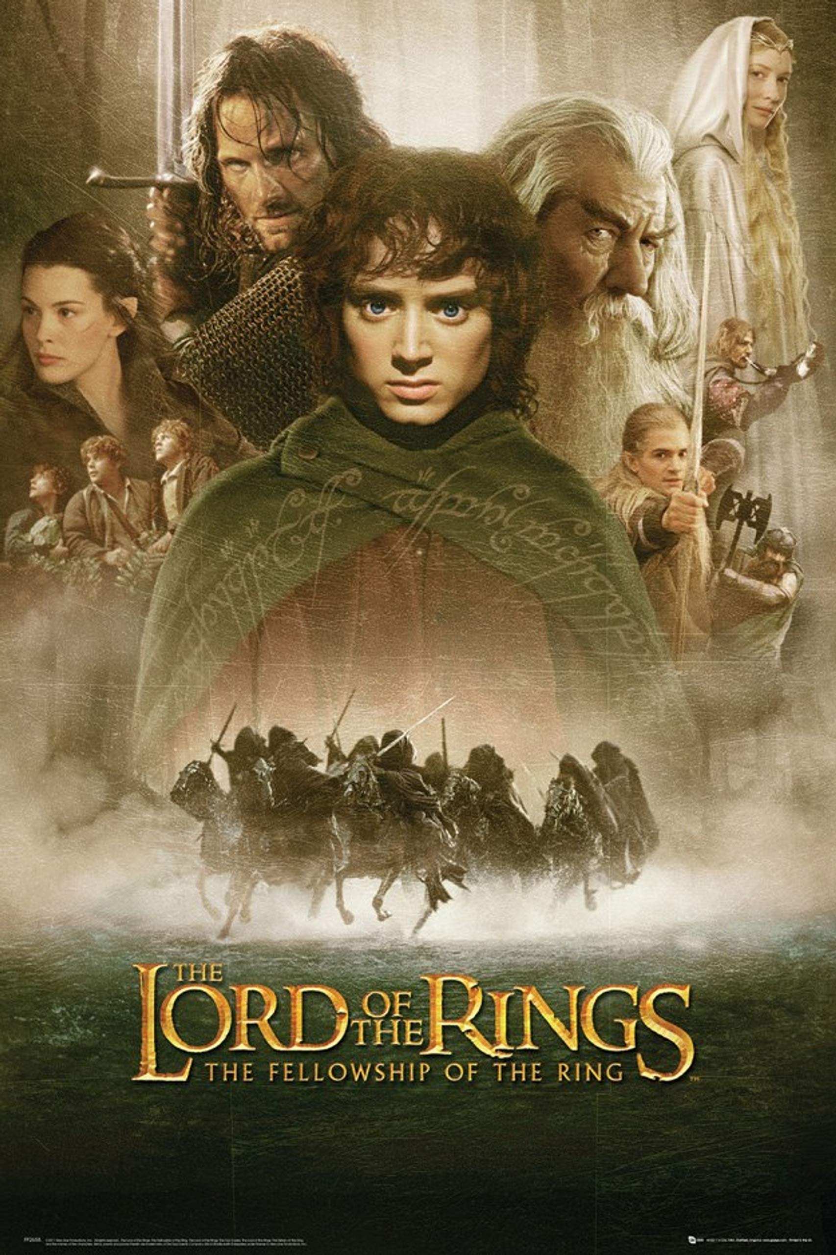 Gb Eye The Lord Of The Rings Fellowship Of The Ring 61 X 91.5Cm Maxi Poster
