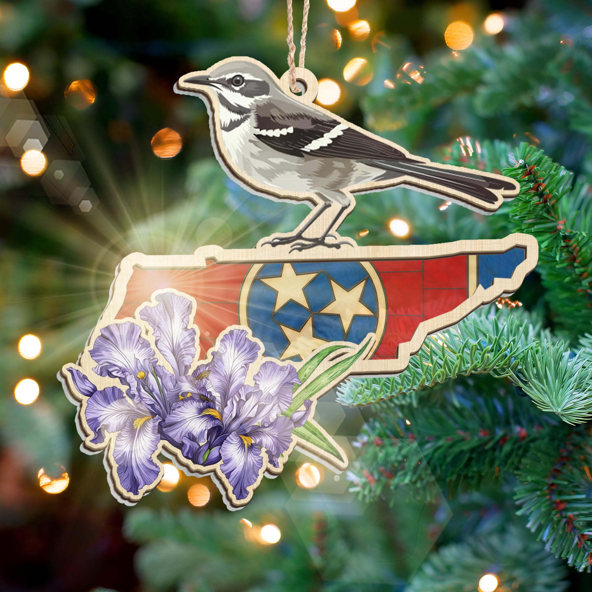 FLAGWIX Christmas Tennessee Gifts for Women Men - Suncatcher Tennessee Christmas Ornaments 2025 - State Ornaments for Tree with 