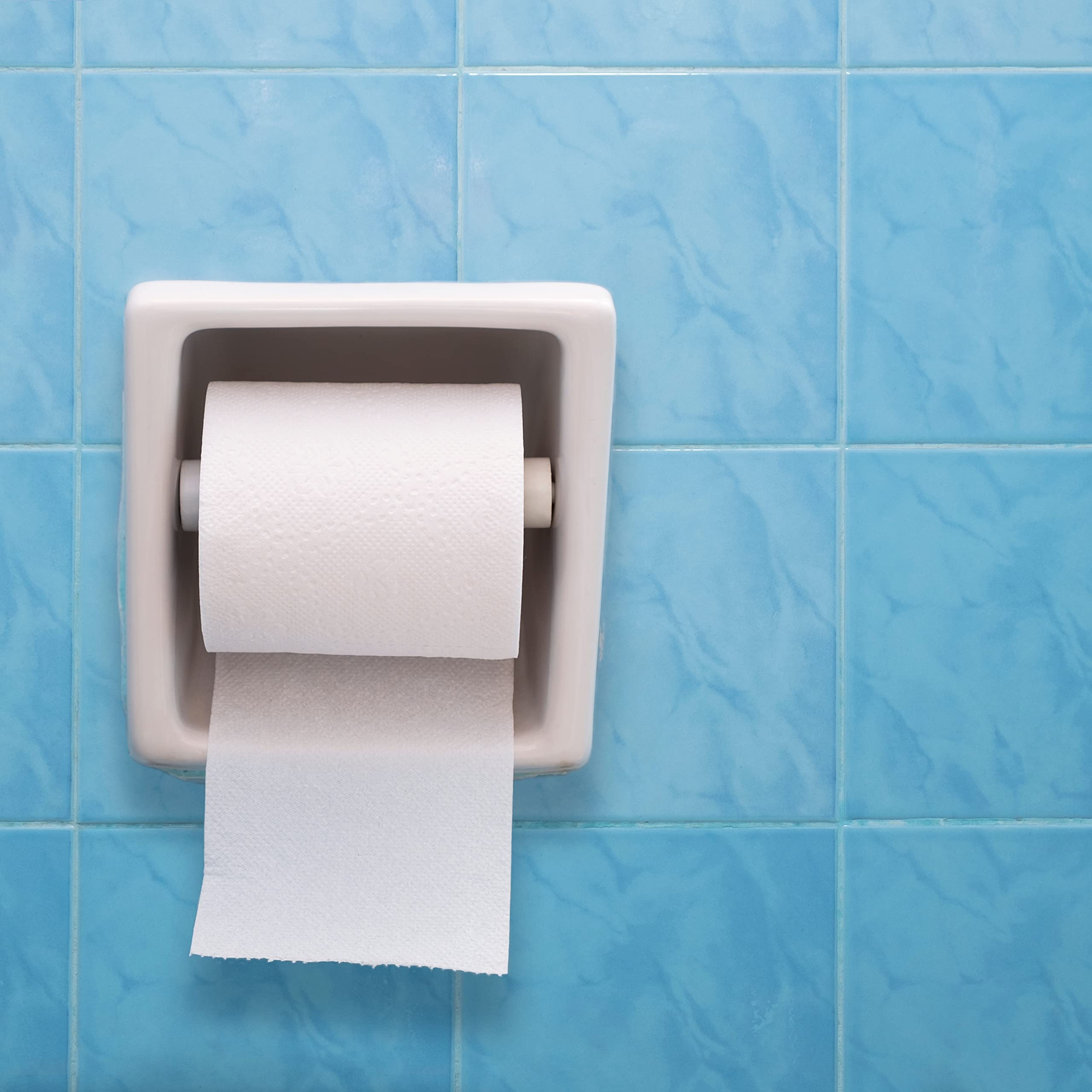 Florian Tissue Roller Tissue Stick Restroom Paper Spring Loaded Holder (1 Pcs, White), Bathroom, Restroom, Toilet, Easy Installa