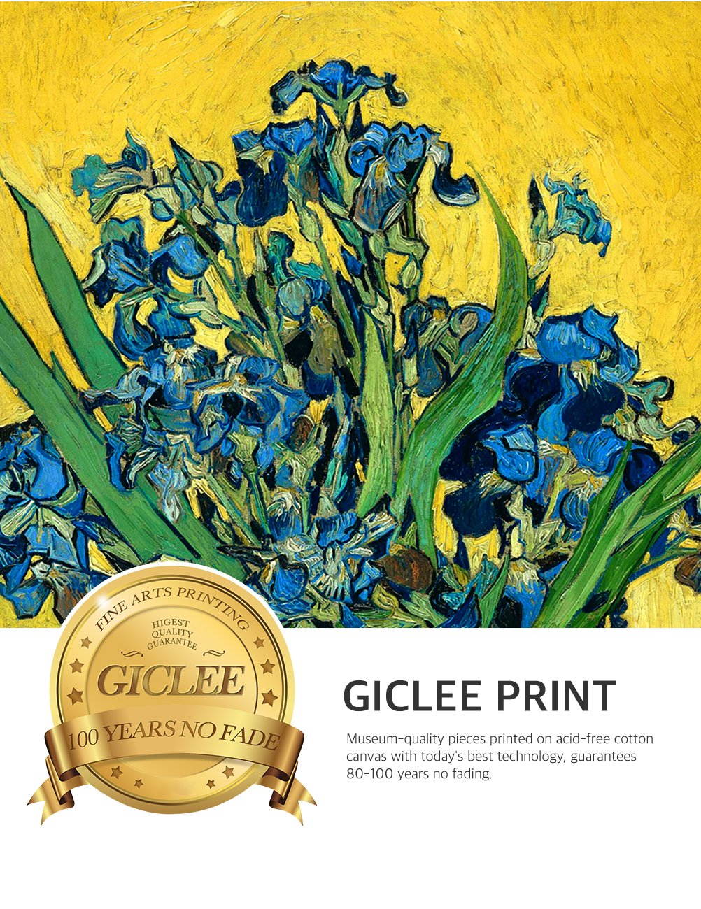 Decorarts - Irises Vase Flower, Vincent Van Gogh Art Reproduction. Giclee Prints Match With Golden Framed For Wall Decor. Pictur