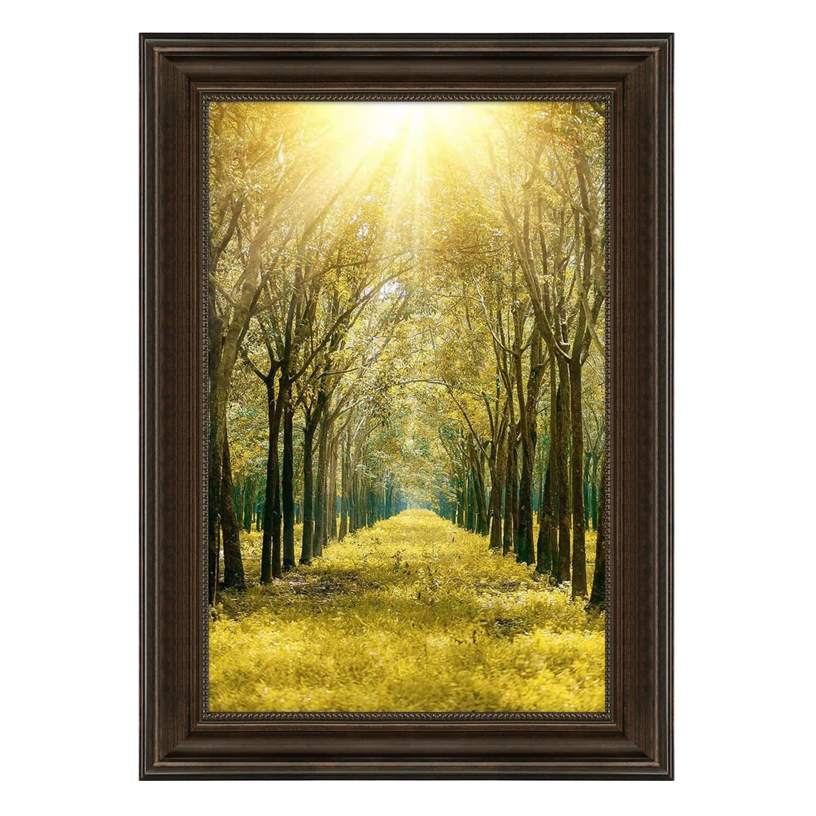 Space Art Deco,11x17 Picture Frame for 11 x 17 Photo,Real Glass Sawtooth Hangers Wall Mount Display(Color Brown)