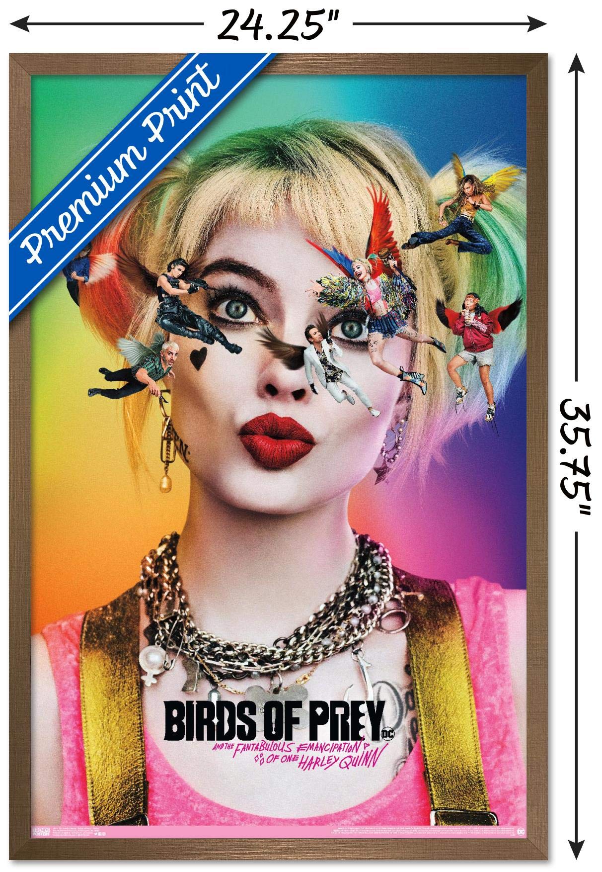 Trends International Dc Comics Movie - Birds Of Prey - Teaser Wall Poster, 22.375'' X 34'', Bronze Framed Version