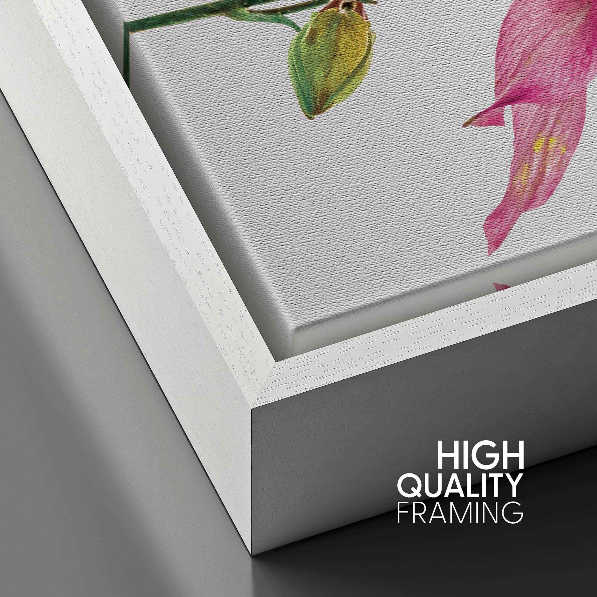 Signford Framed Canvas Print Wall Art Neon Pink Lily Closeup Botanical Plants Illustrations Realism Contemporary Closeup Colorfu