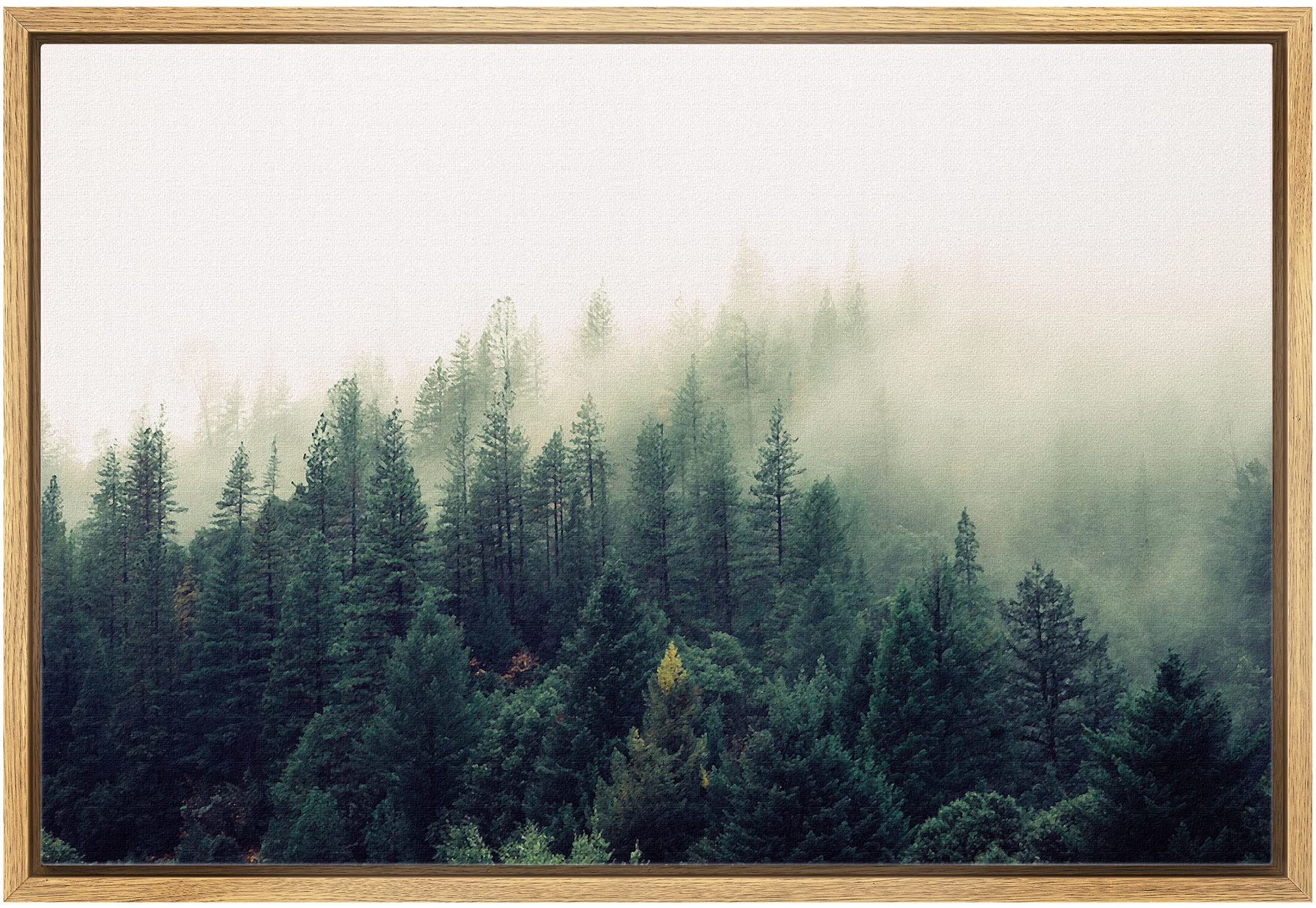 Wall26 Framed Canvas Print Wall Art Misty Green Forest Pine Trees In Sunlight Nature Wilderness Photography Modern Art Rustic Sc