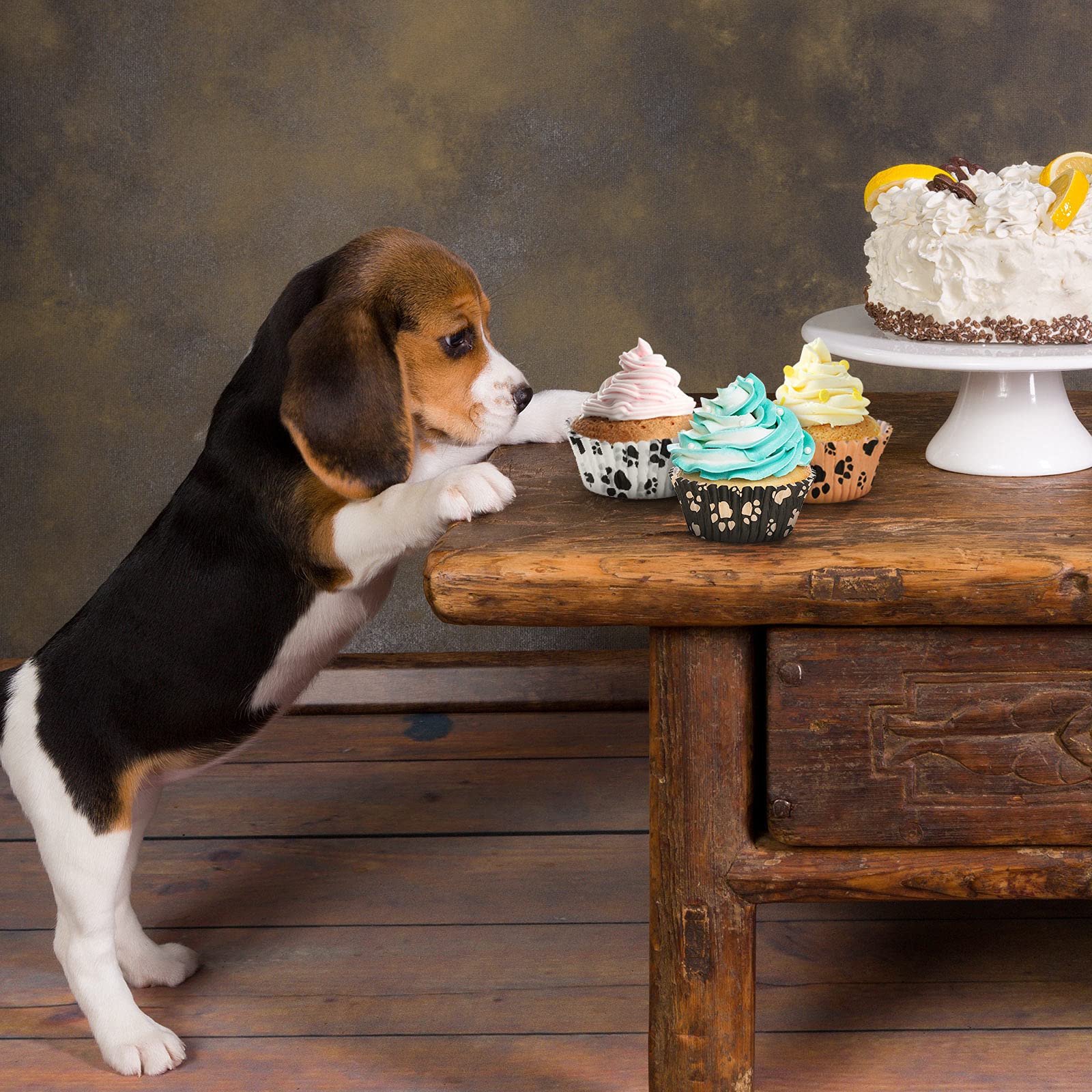 600 Pieces Paw Bone Print Cupcake Liners Puppy Cupcake Holders Dog Theme Cupcake Wrappers Nonstick Baking Cups Paper Muffin Cake