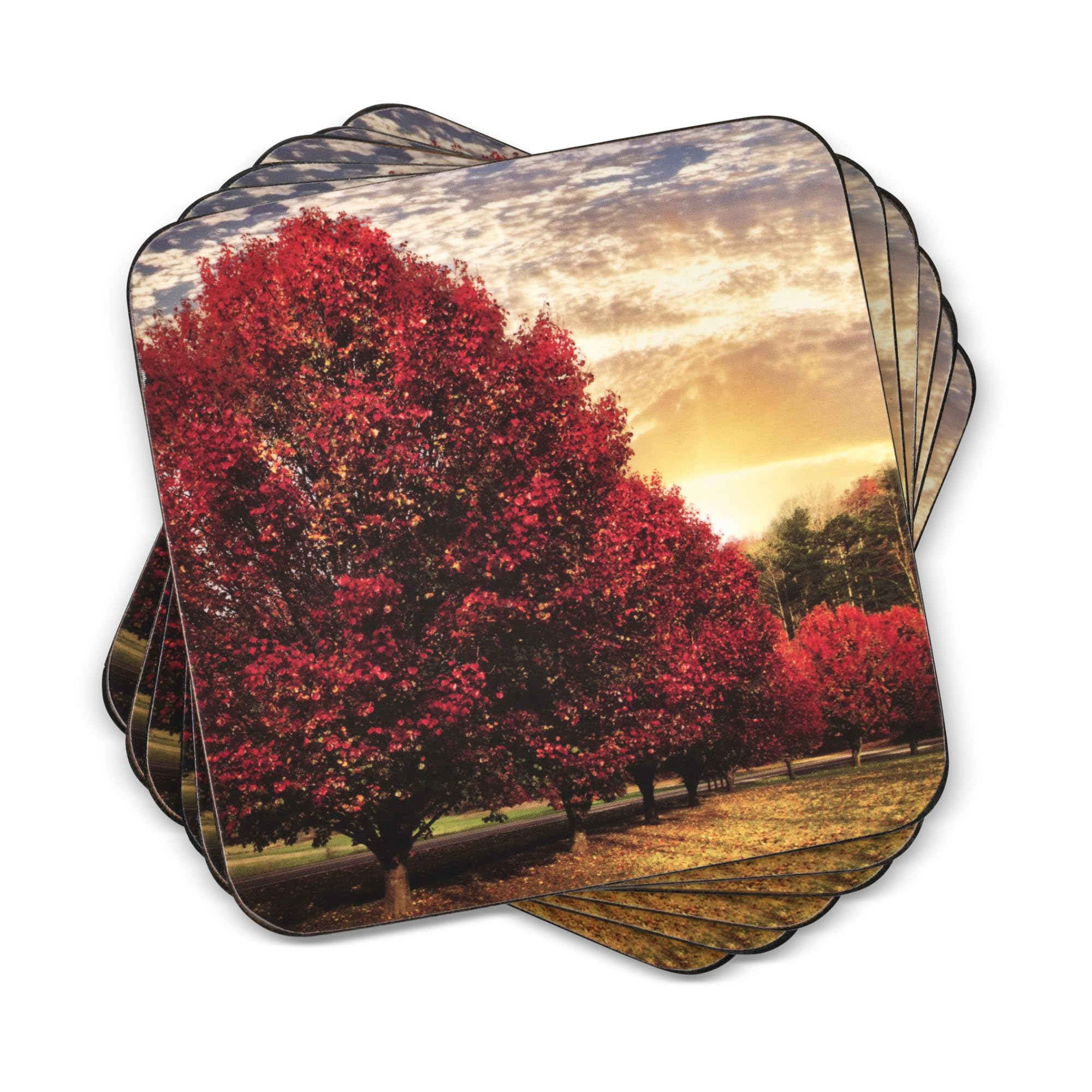 Pimpernel Crimson Trees Collection Coasters  Set of 6  Cork Backed Board  Heat and Stain Resistant  Drinks Coaster for Tabletop Protection  Measures 4 x 4