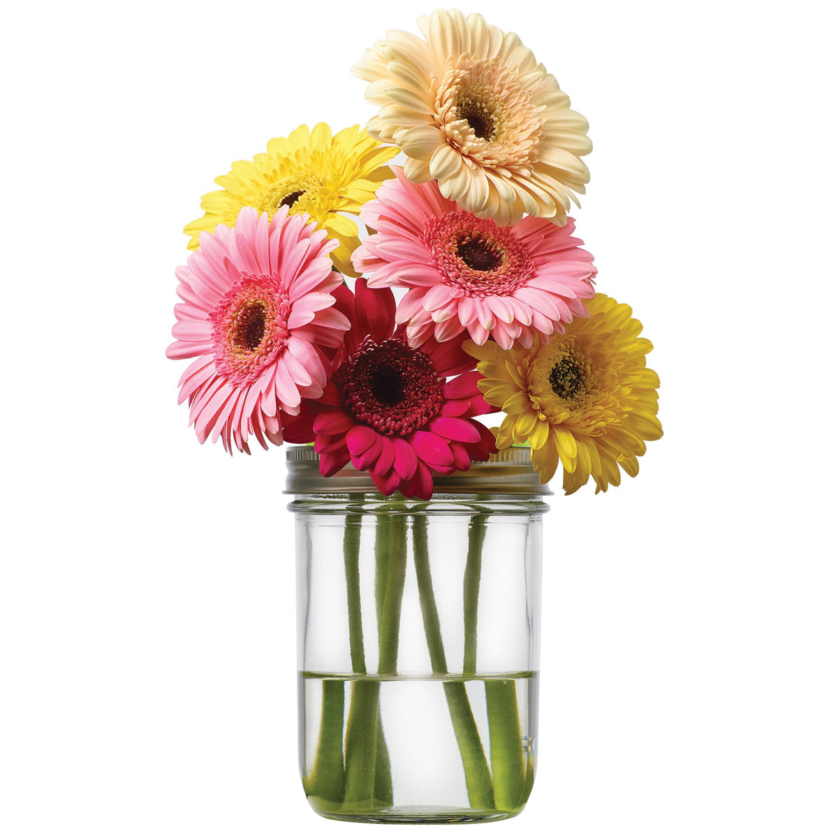 Jarware Flower Frog Grid, Pen And Pencil Organizer For Wide Mouth Mason Jars, Green