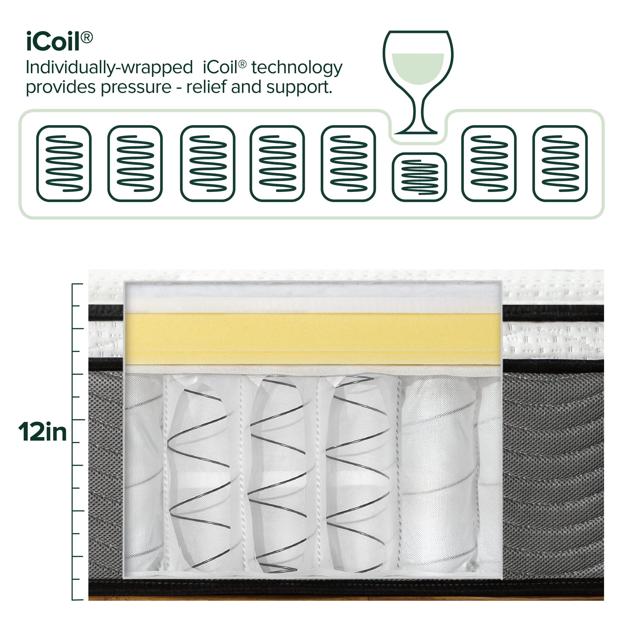 Zinus 12 Inch Support Plus Pocket Spring Hybrid Mattress, Queen, Strong Coils For Durable Support, Pocket Innersprings For Motio