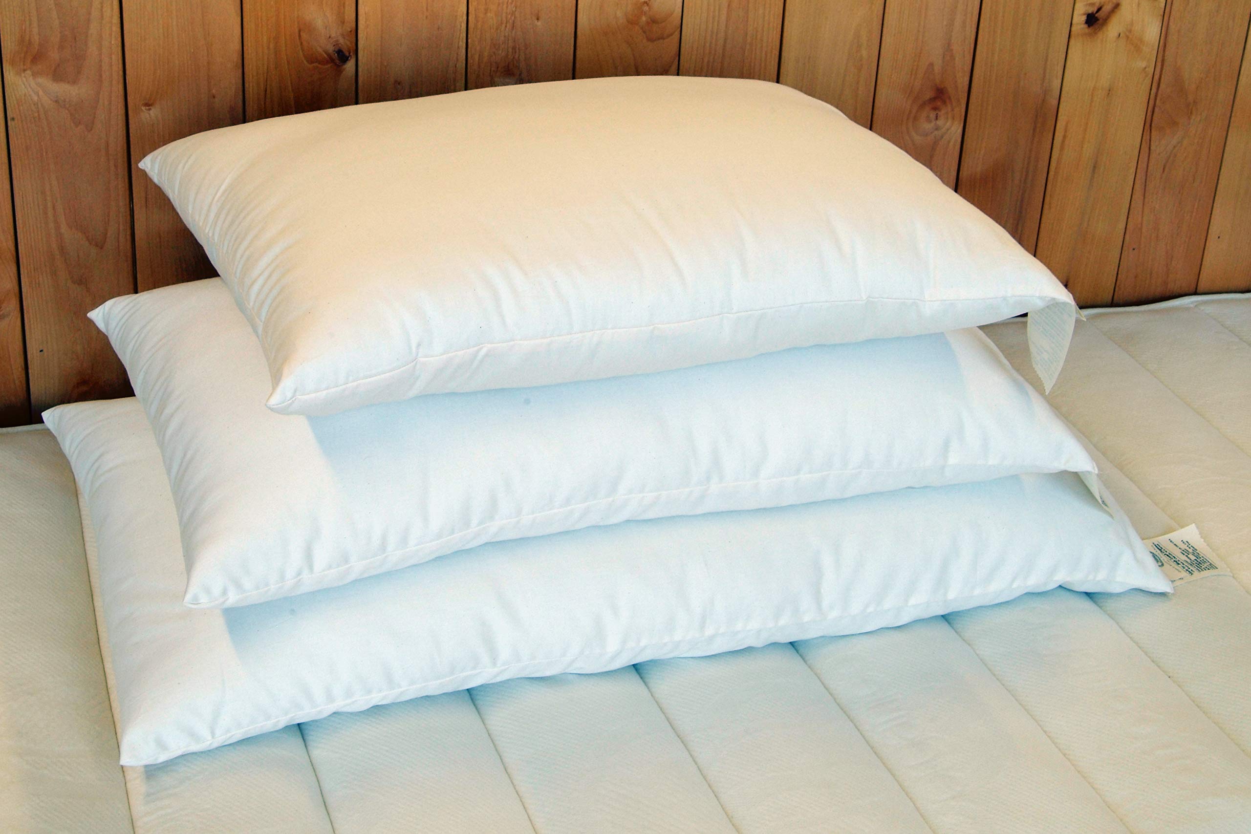 Holy Lamb Organics Wool Bed Pillow - Standard - Medium Fill By Holy Lamb Organics