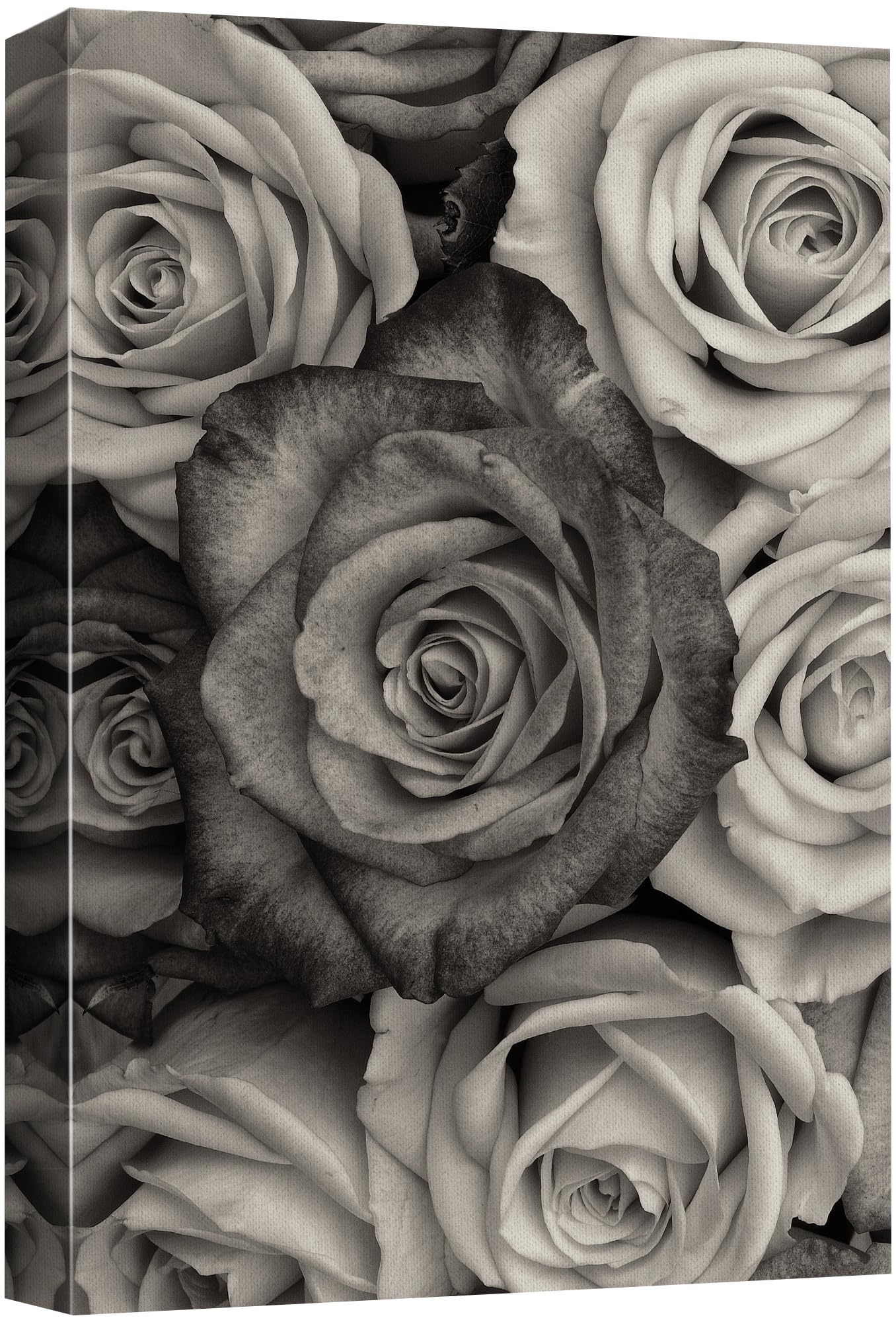 Wall26 Canvas Print Wall Art Premium Monochromatic Roses Gallery Wrapped Luxurious Floral Nature Wilderness Photography Modern A