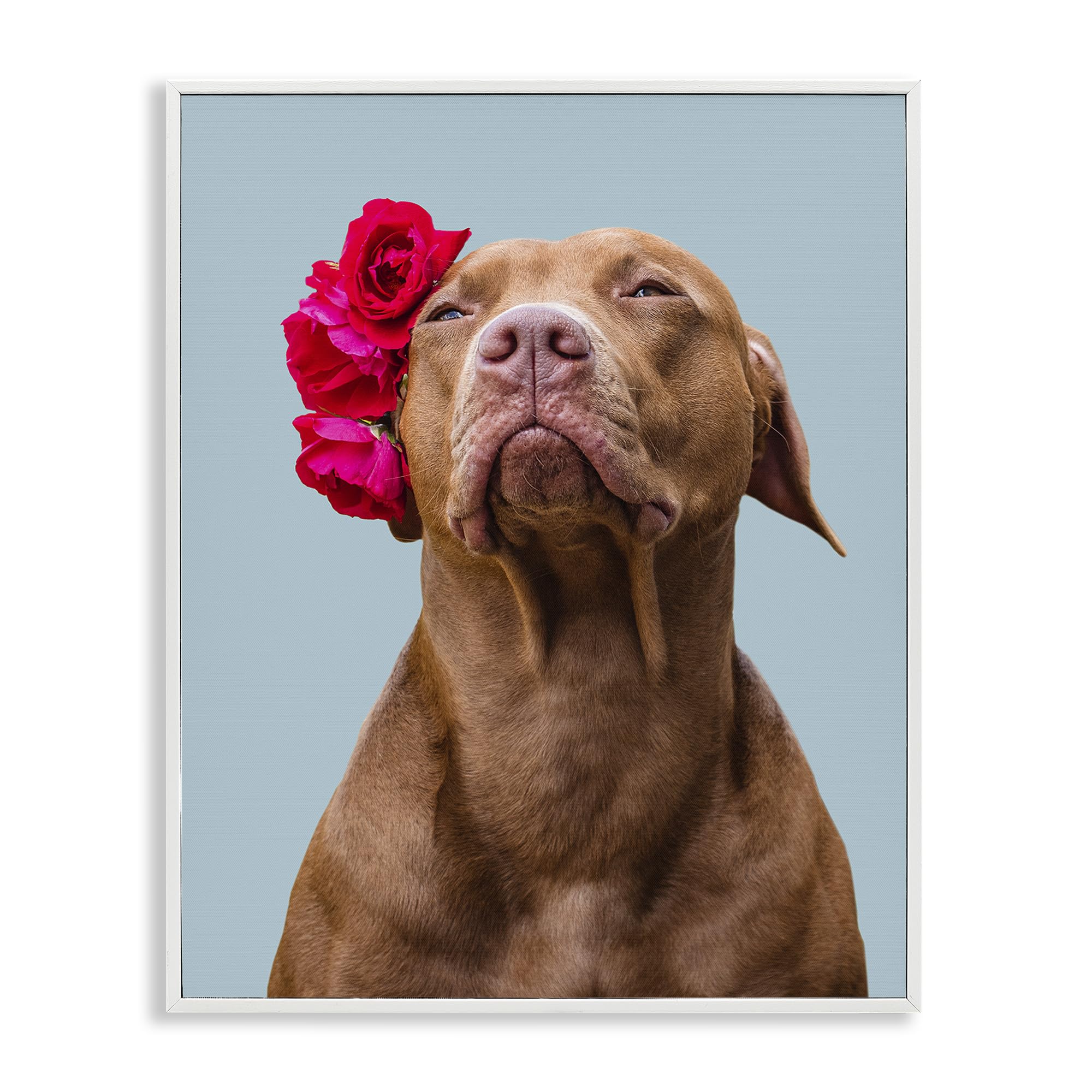 Stupell Industries Personalized Custom Print Rectangular Framed Giclee Art