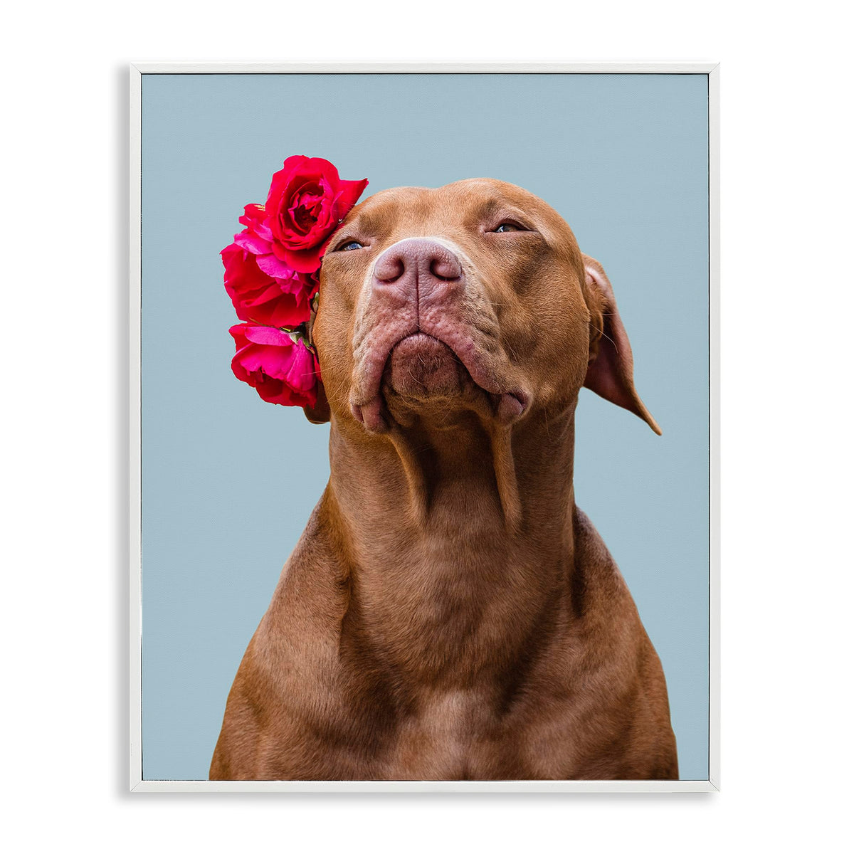 Stupell Industries Personalized Custom Print Rectangular Framed Giclee Art
