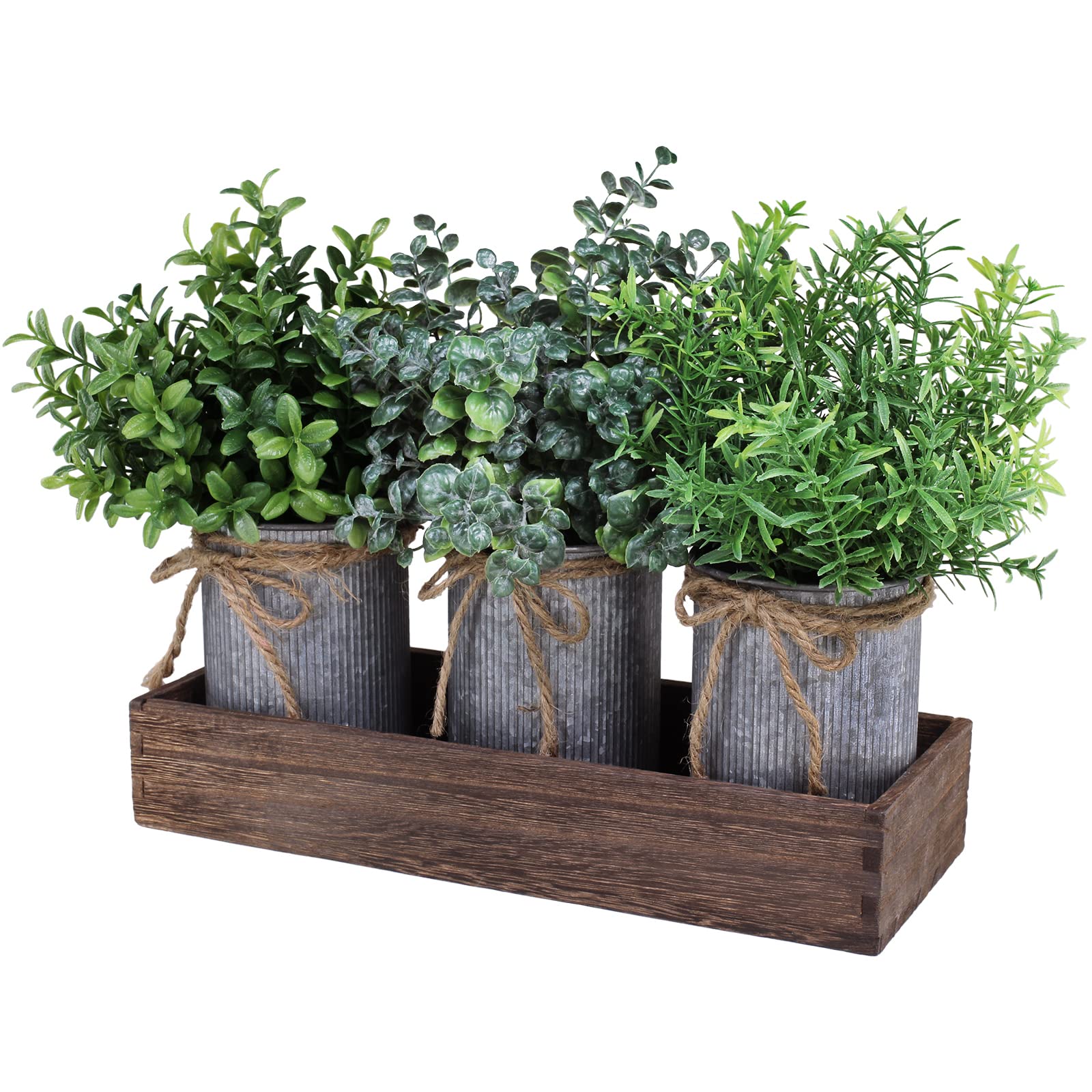 Set of 3 Mini Potted Plants Arrangement Faux Boxwood Eucalyptus Rosemary Plants in Rustic Galvanized Metal Pots with Rectangle W