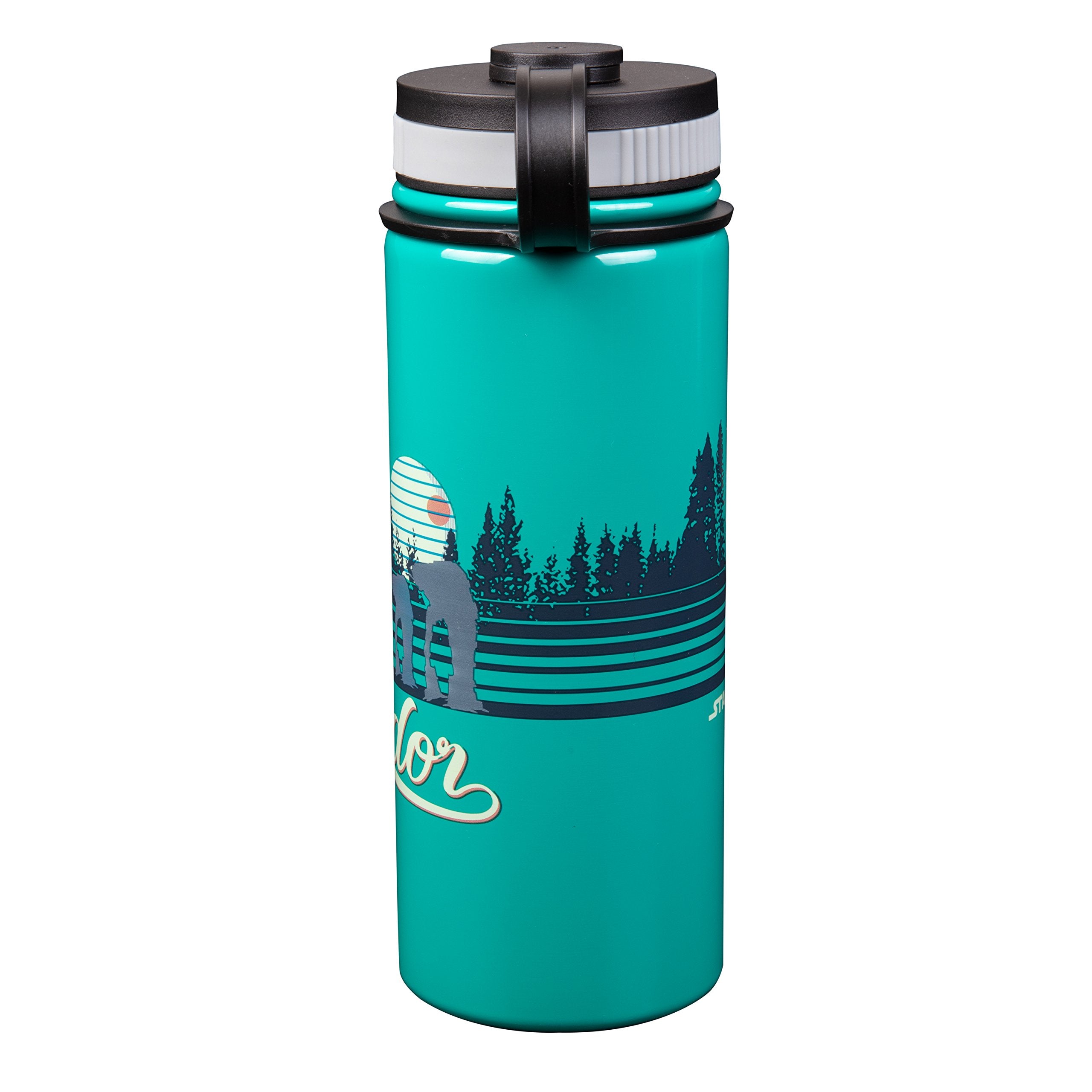 Star Wars Endor Stainless Steel Travel Water Bottle, 18Oz - Fun Retro Design - Vacuum Insulated Thermos For Coffee, Water & More