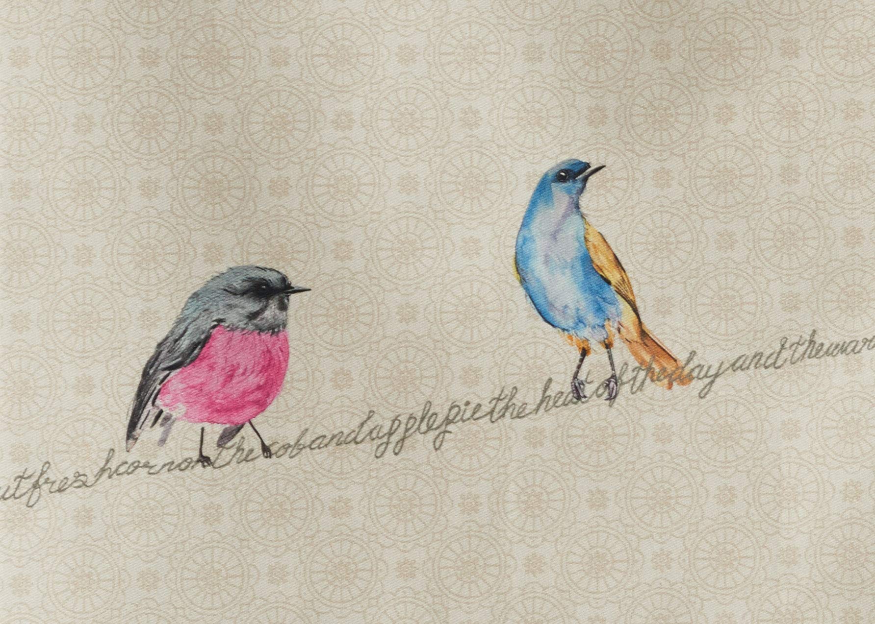 Maison D' Hermine Birdies On Wire 100% Cotton Set Of 2 Multi-Purpose Kitchen Soft Absorbent Dish Towels | Tea , Bar Towels (20 I
