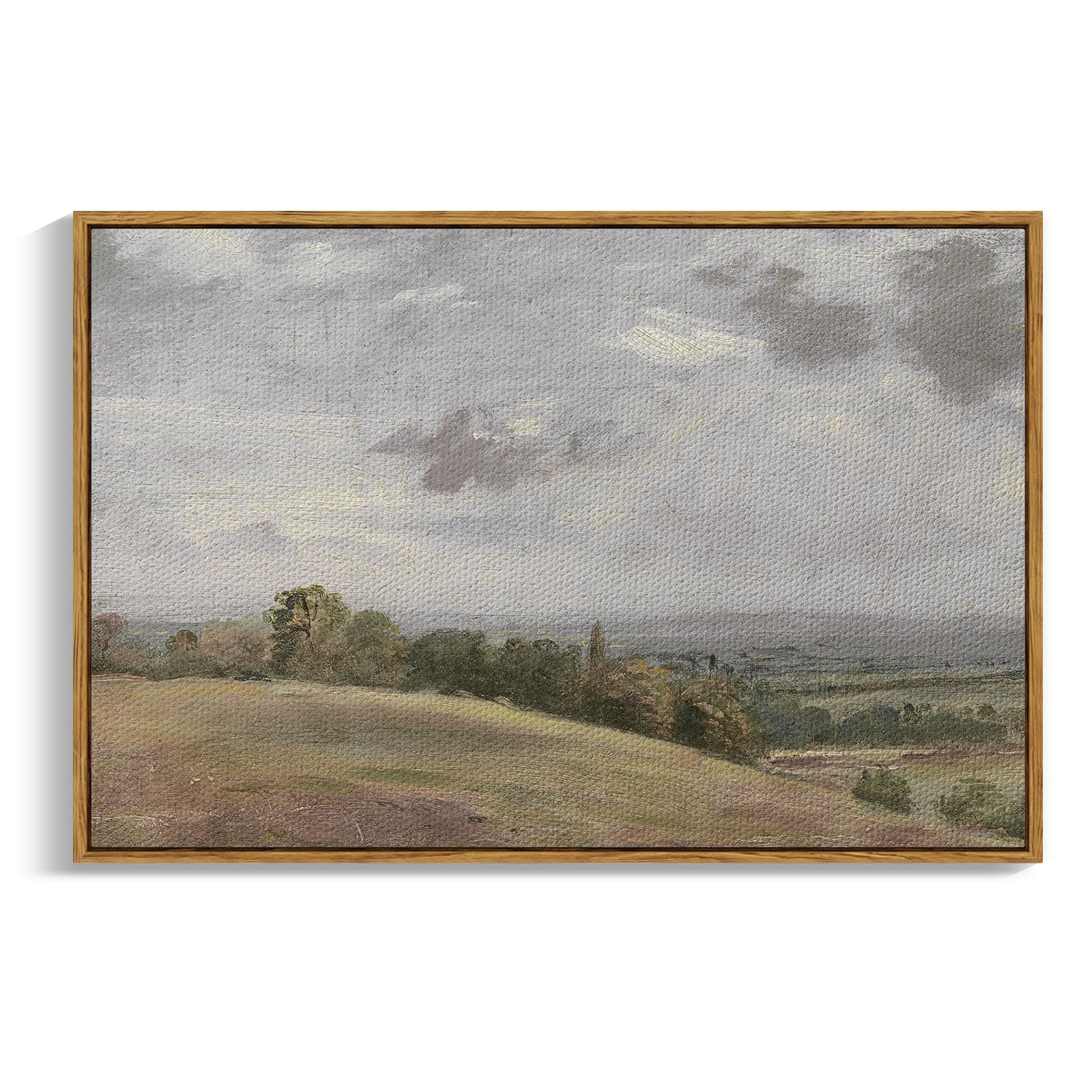 Insimsea Framed Landscape Canvas Wall Art | Wild Field Landscape Painting Prints Wall Decor | Modern Farmhouse Decor | Rustic Wa