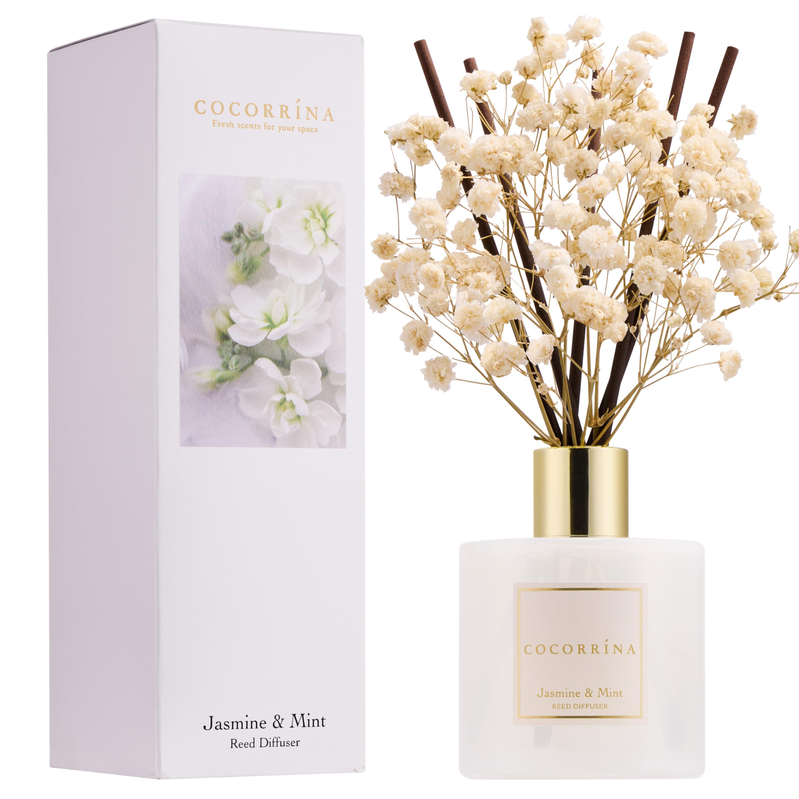 COCORR  NA Reed Diffuser - Jasmine & Mint 6.7 Fl.oz Reed Diffuser Set with Sticks & Preserved Babys Breath, Reed Diffuser for H