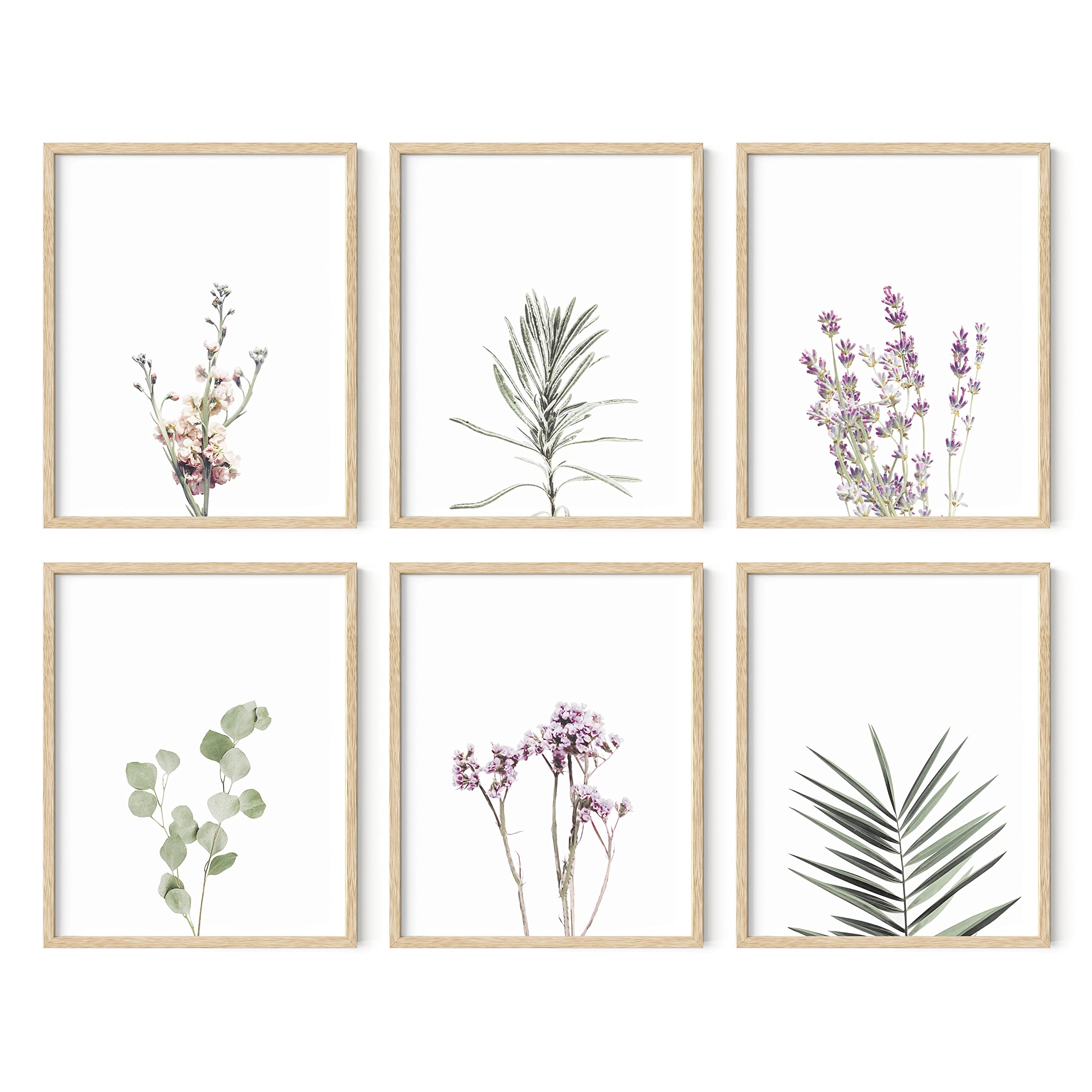 Haus And Hues Floral Prints And Plant Posters Set Of 6 Botanical Prints Set And Floral Wall Art | Wildflower Wall Art Plant Wall