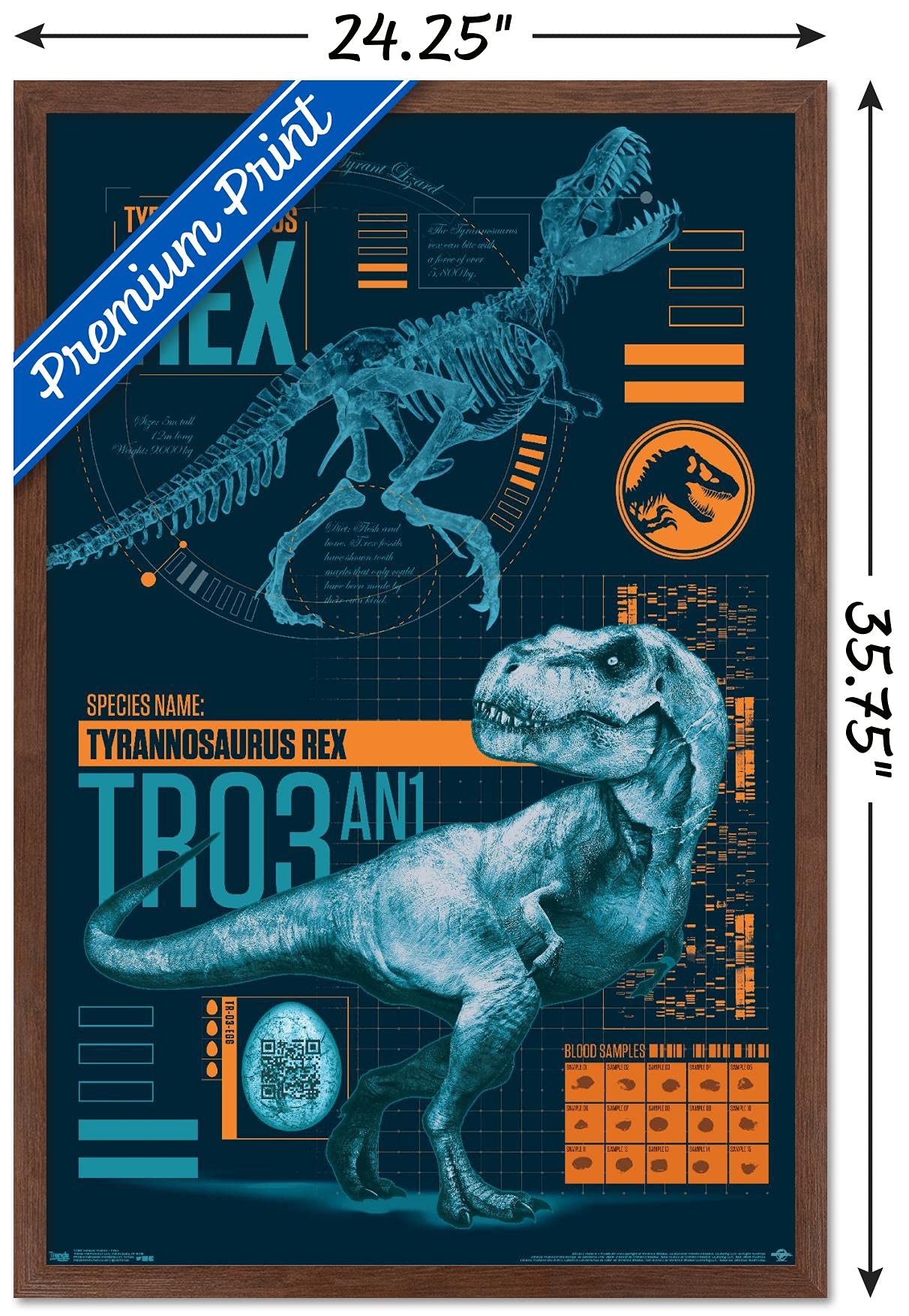 Trends International Jurassic World: Fallen Kingdom - T-Rex Wall Poster, 22.375'' X 34'', Mahogany Framed Version