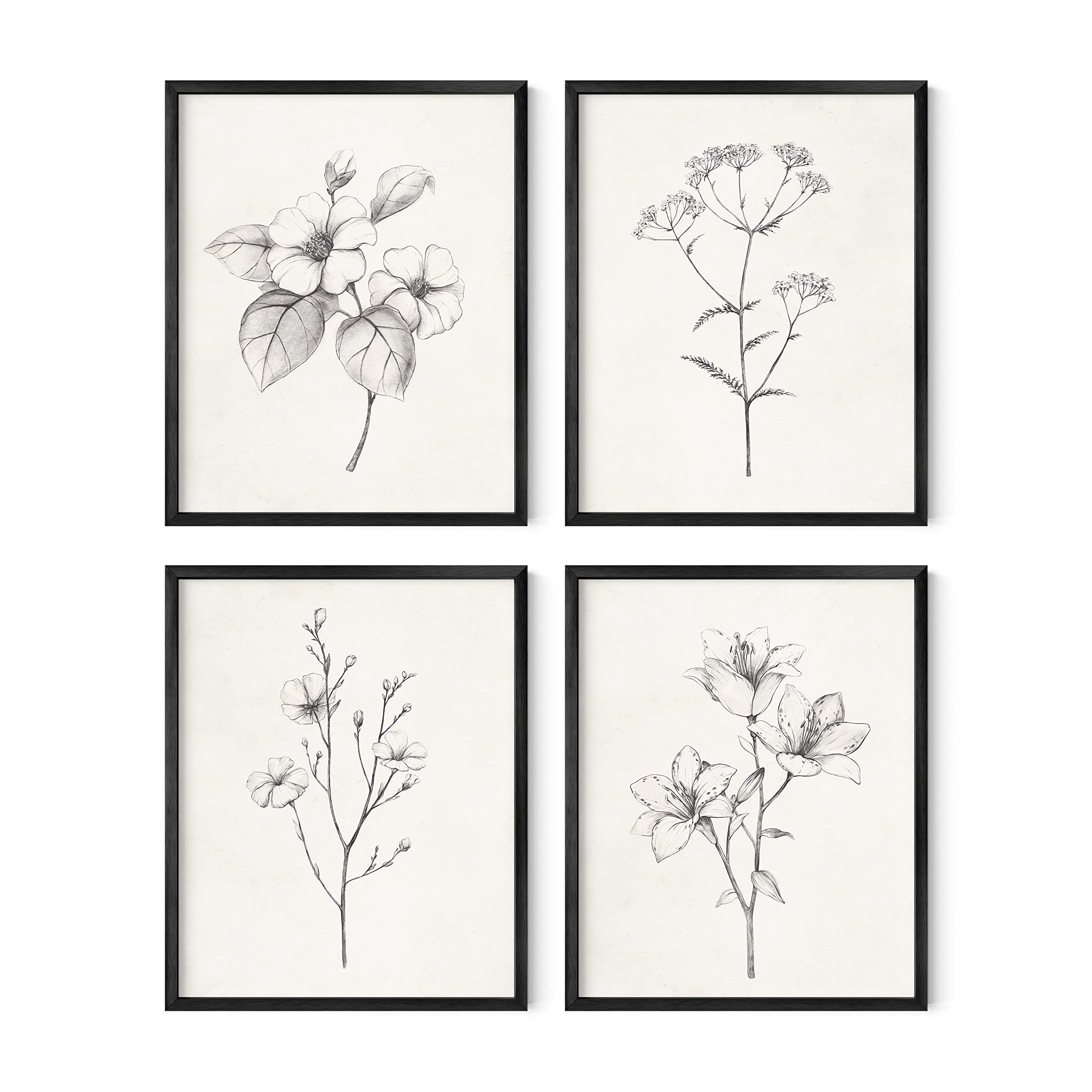 HAUS AND HUES Framed Vintage Botanical Prints - Set of 4 Framed Farmhouse Bedroom Wall Decor  Rustic Art for Bathroom  Farmhouse Decor Pictures for Living Room  Boho Decor (8x10  Framed Black)