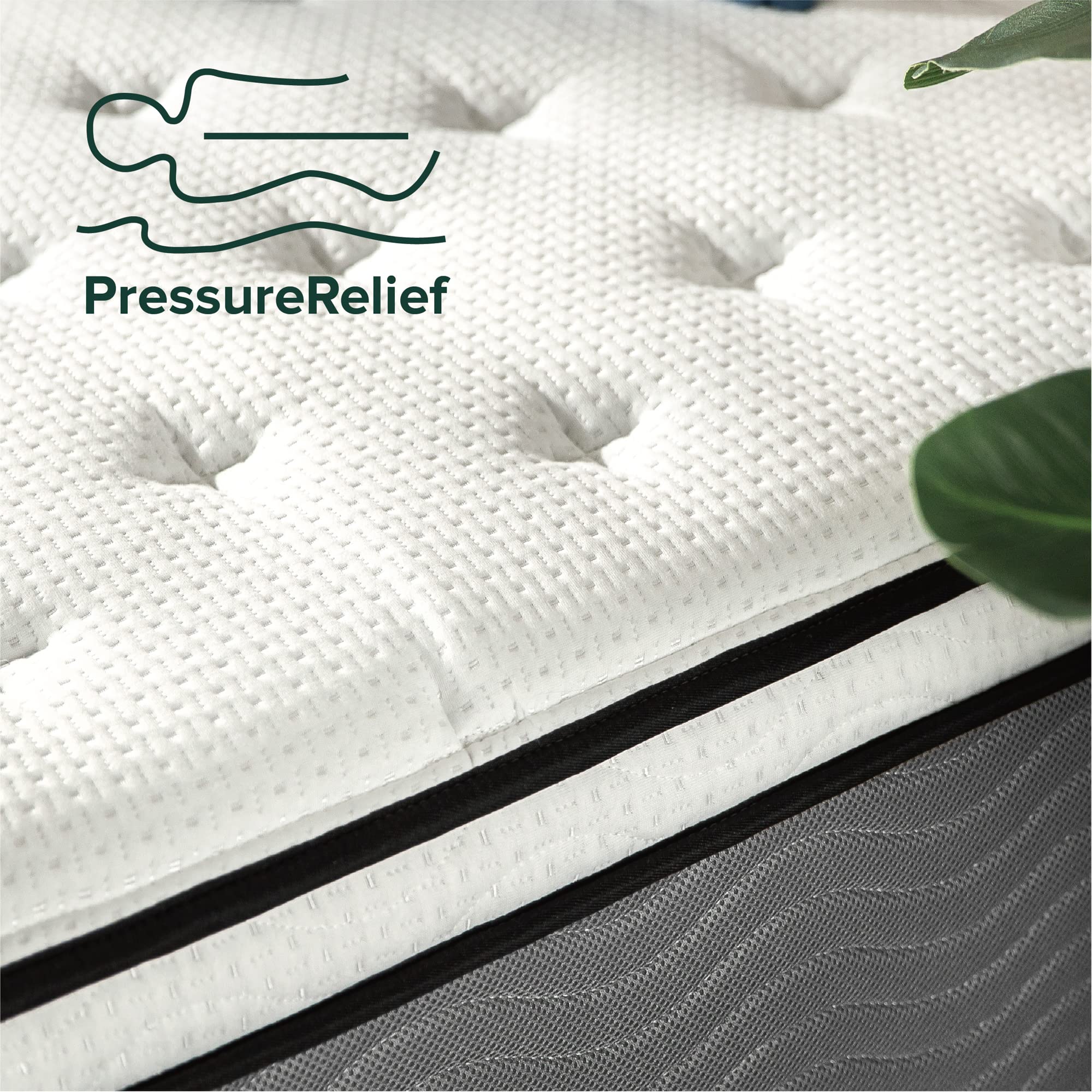 Zinus 12 Inch Support Plus Pocket Spring Hybrid Mattress, Queen, Strong Coils For Durable Support, Pocket Innersprings For Motio