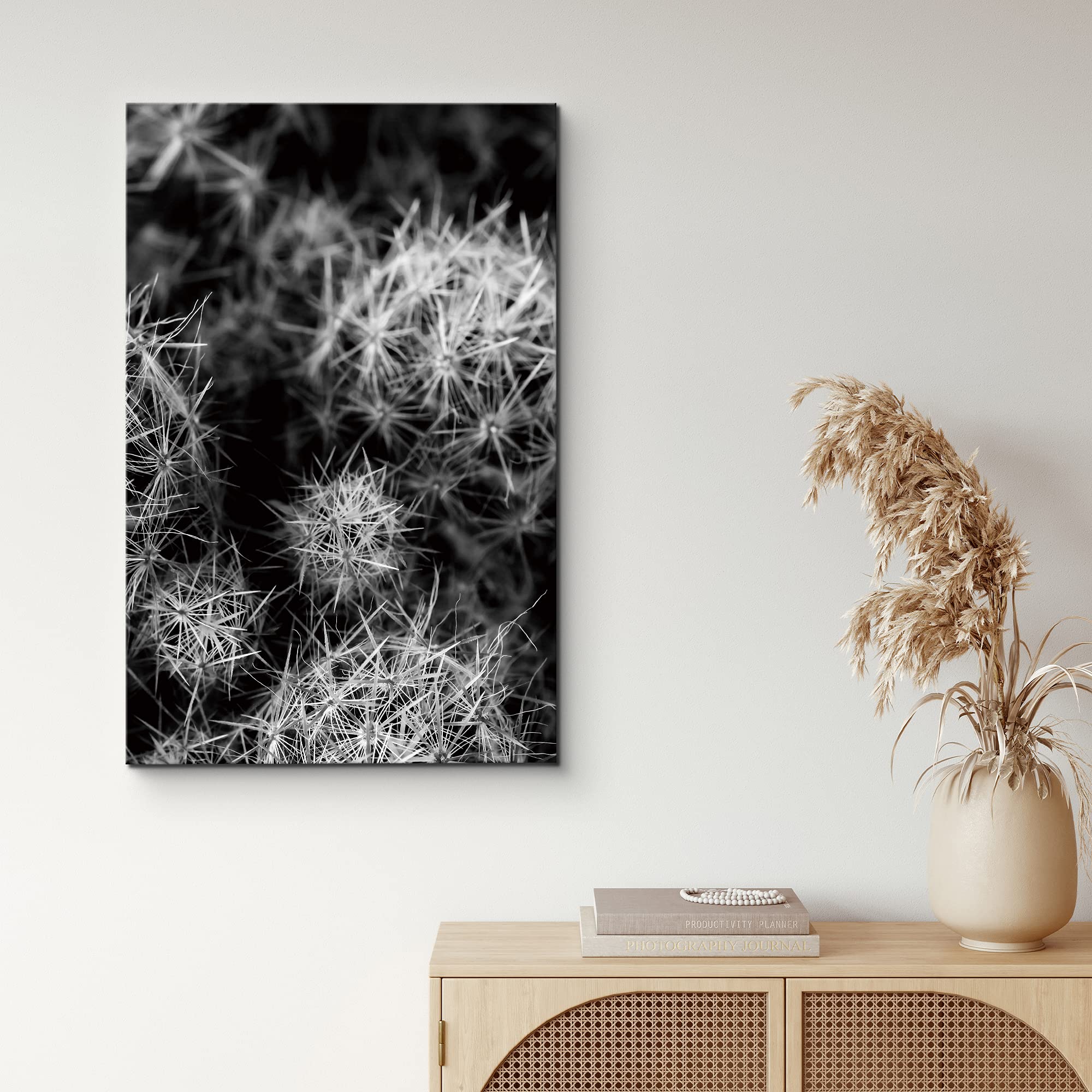 Nwt Canvas Print Wall Art Thimble Cactus Bunch Floral Plants Photography Modern Art Southwest Closeup Dramatic Cool Black And Wh