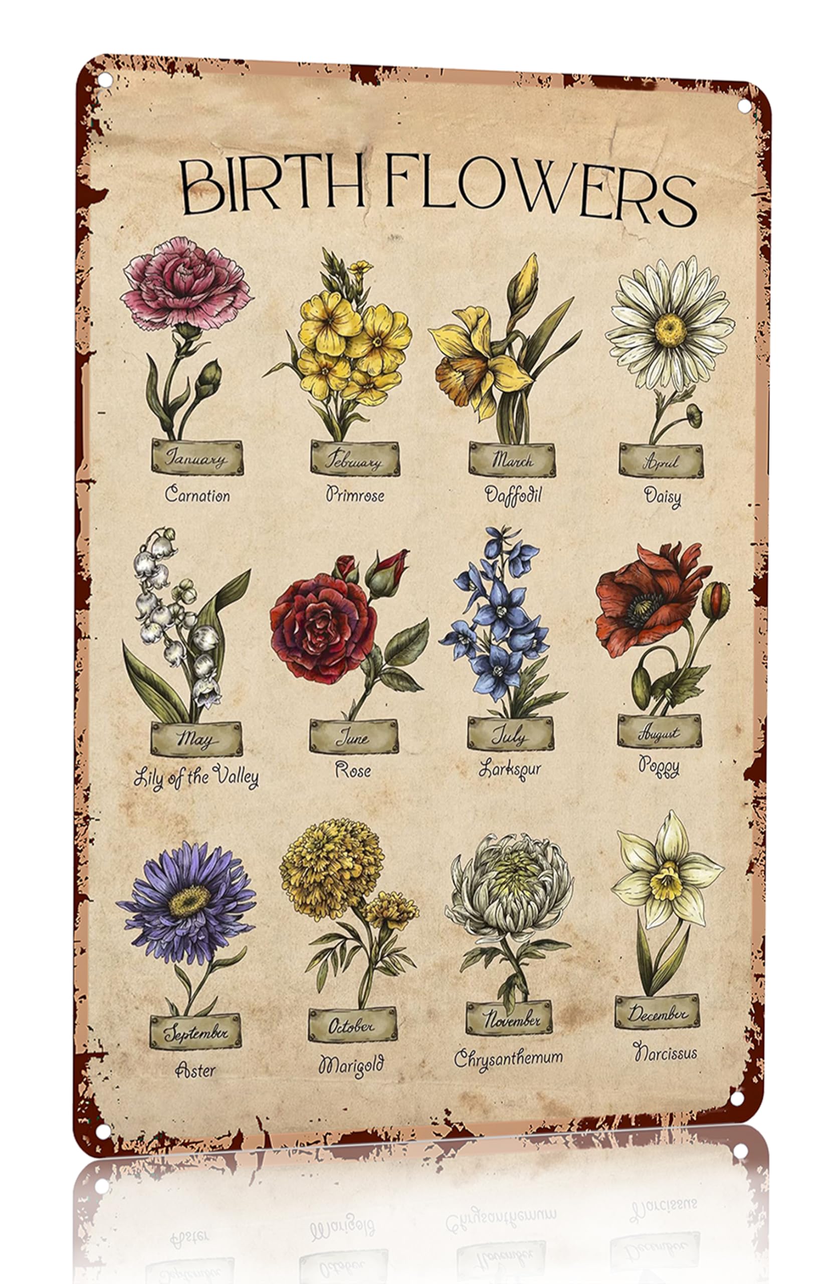 Bestylez Garden Gifts Vintage Gardening Signs Mom Grandma Birth Month Flower Tin Sign for Home Garden Greenhouse Living Room Bed