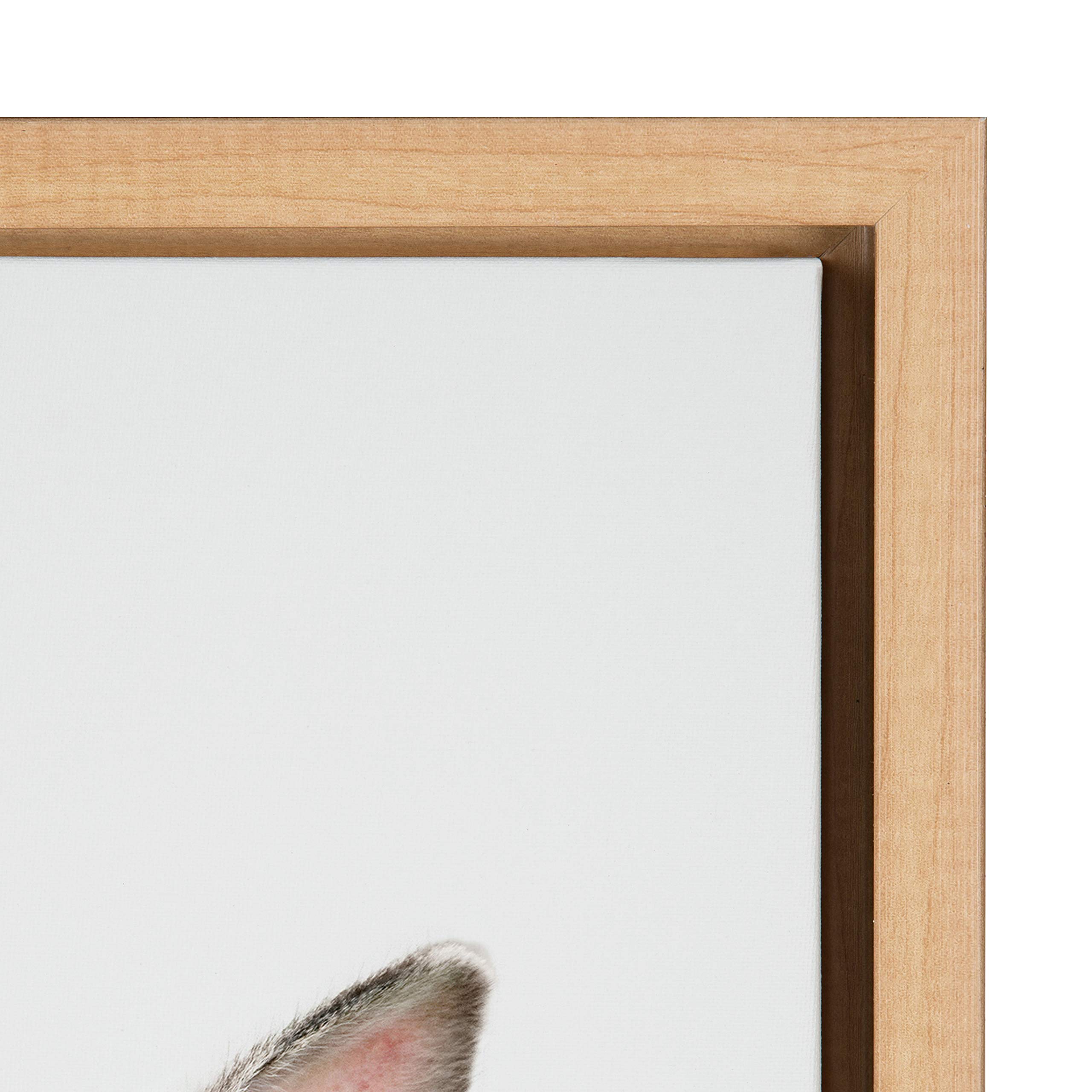 Kate And Laurel Sylvie Female Baby Bunny Rabbit Animal Print Portrait Framed Canvas Wall Art By Amy Peterson, 18X24 Natural
